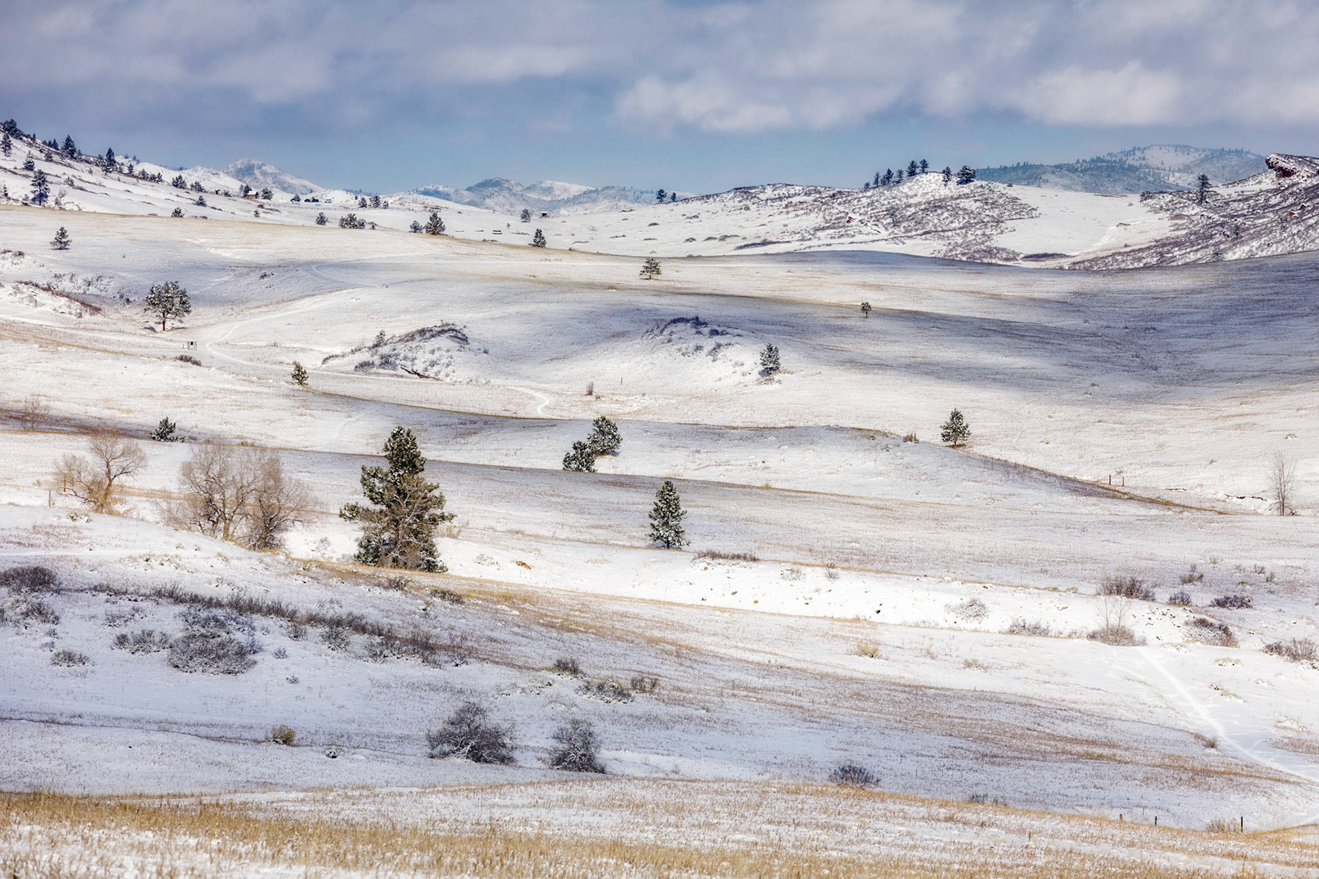 "Valley View" (Soderberg Open Space, Larimer County, CO)