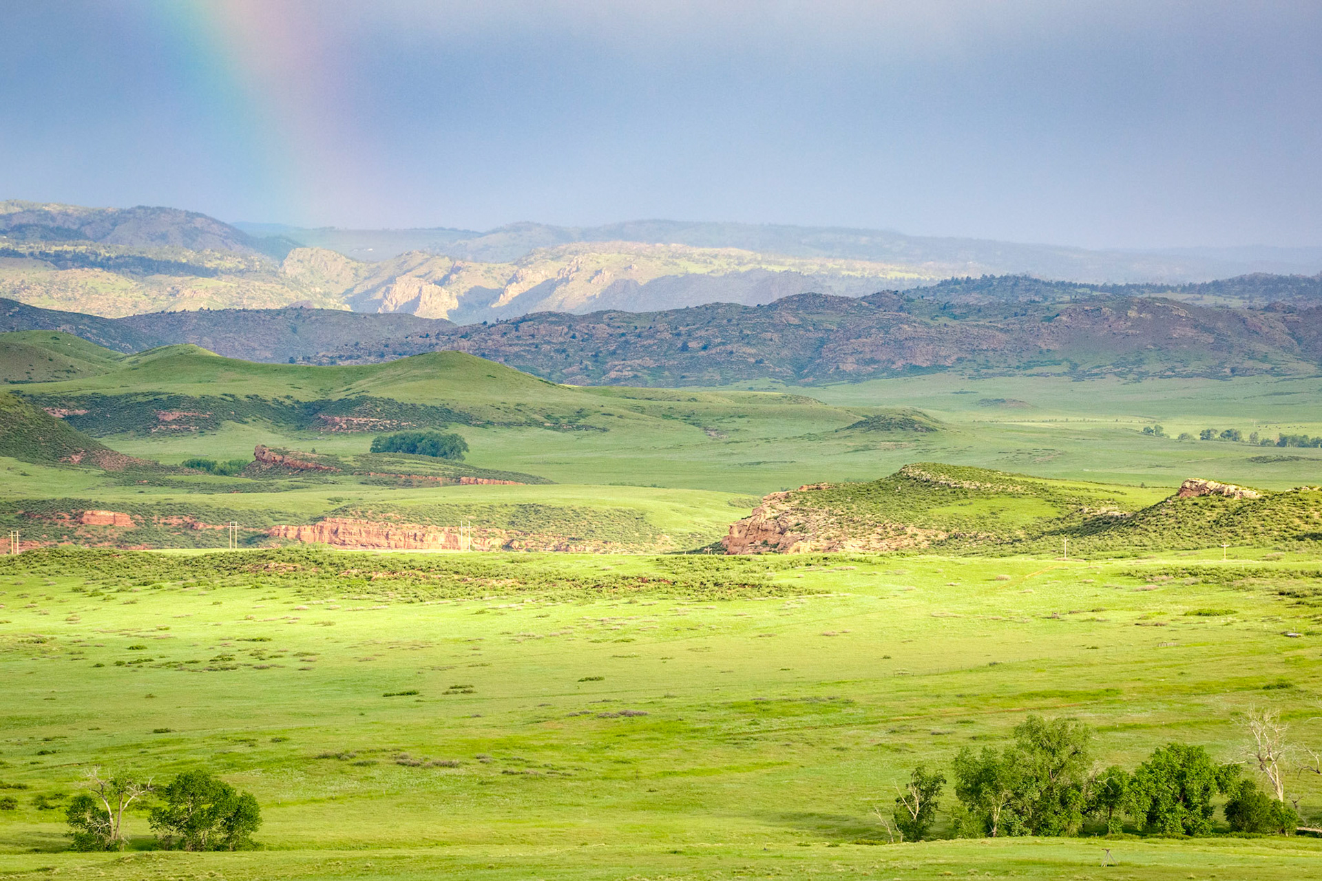"Forever Green" (Eagle's Nest Open Space, Larimer County, CO)
