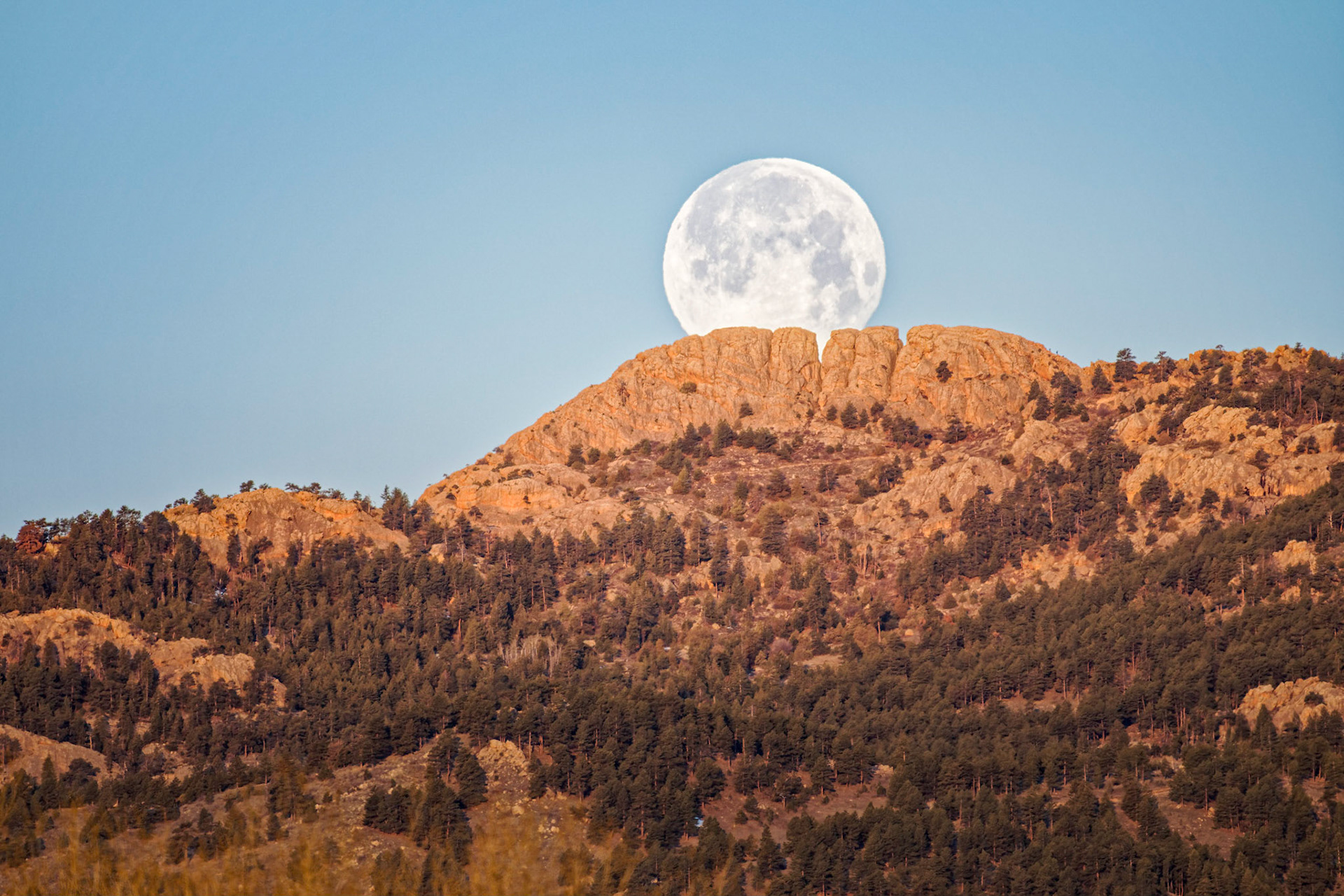 "Morning Moonset" (Horsetooth Mountain Open Space, Larimer County, CO)