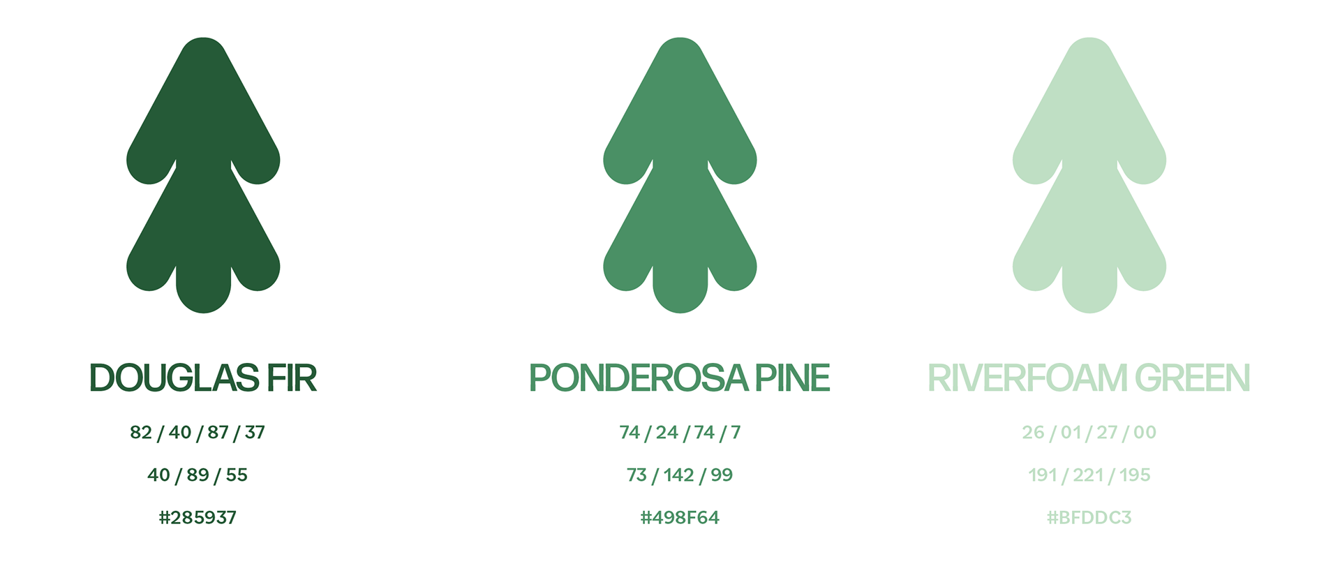 Brand Colors: Douglas Fir, Ponderosa Pine and Riverfoam Green