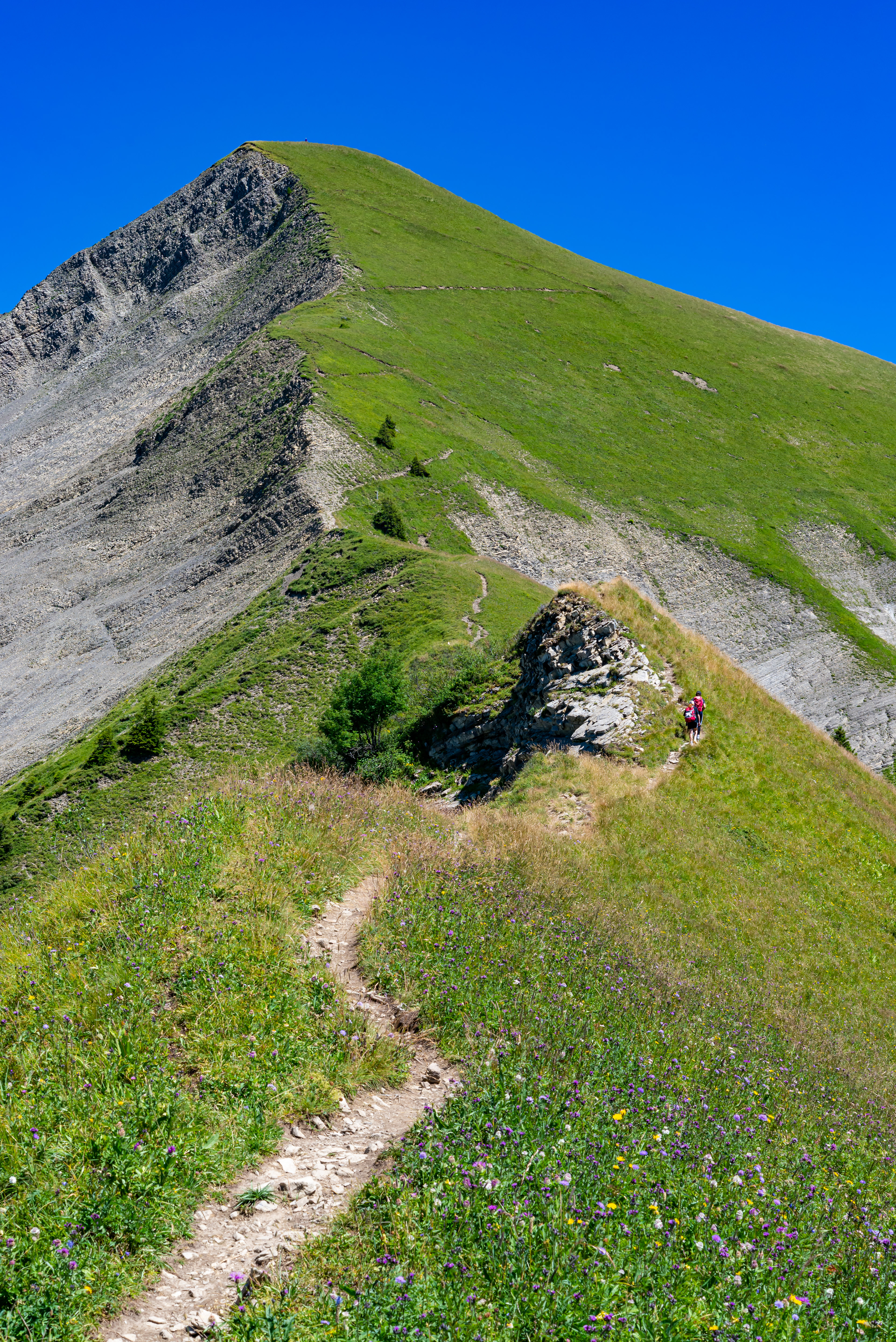 La Chaurionde en été
