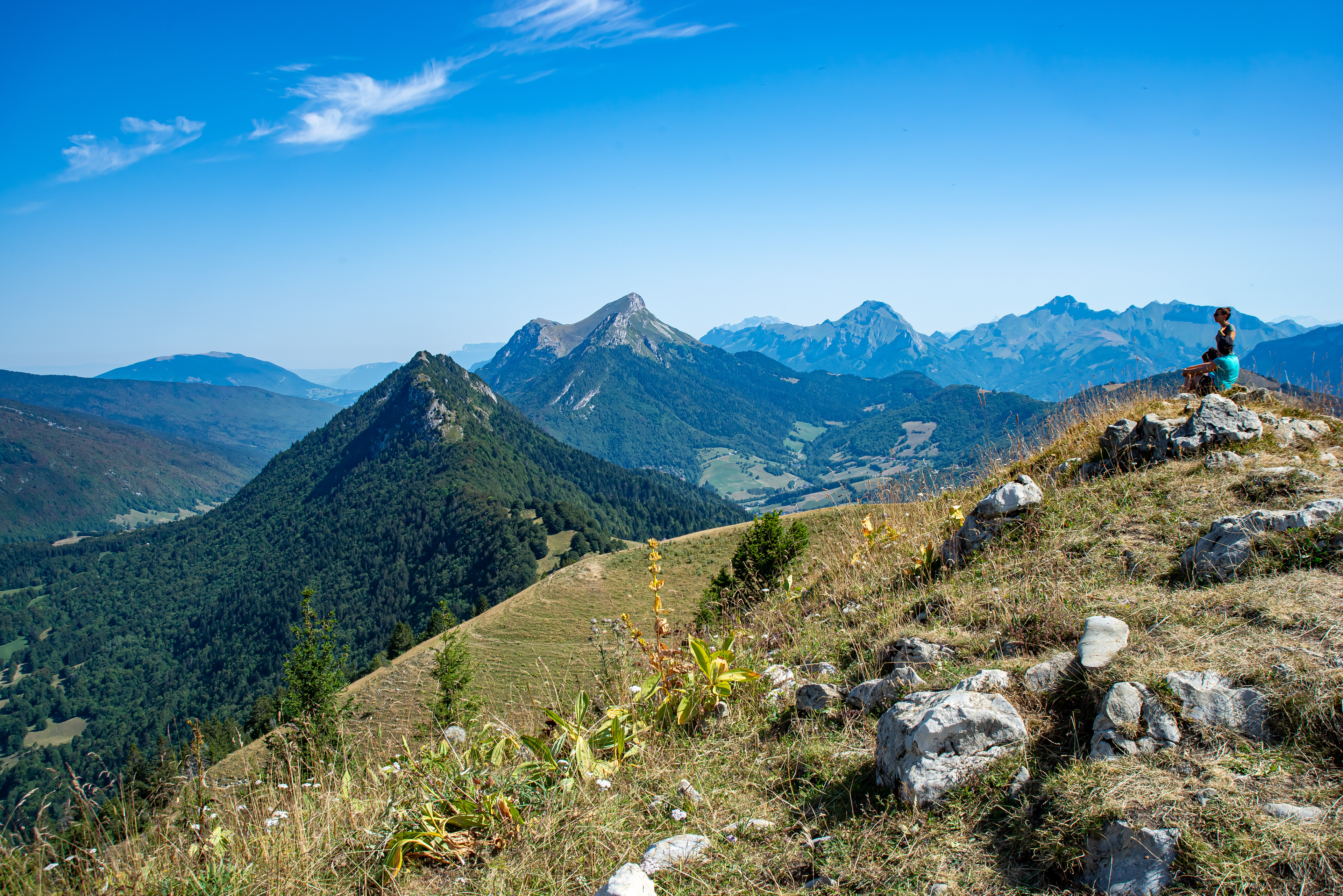 Le trélod et l'Arcalod