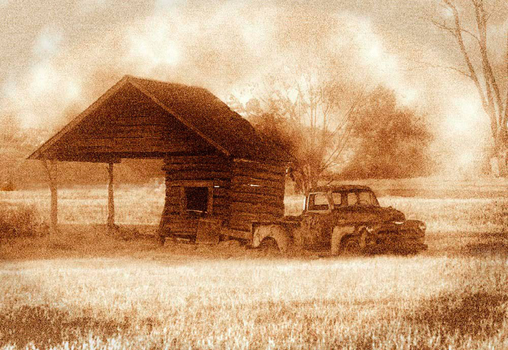 Pickup truck and shed