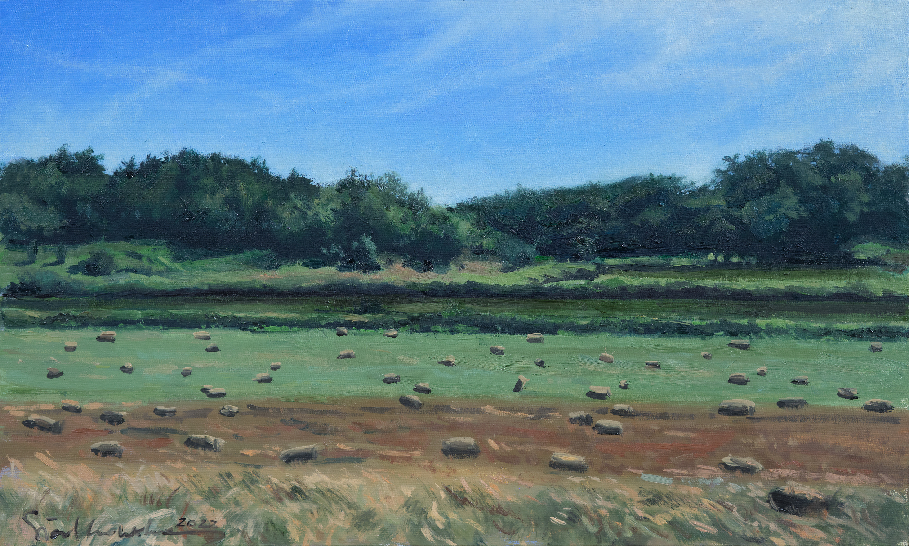 Ziemia Opatowska, świętokrzyskie. – obraz olejny na płótnie 50 x 30 cm