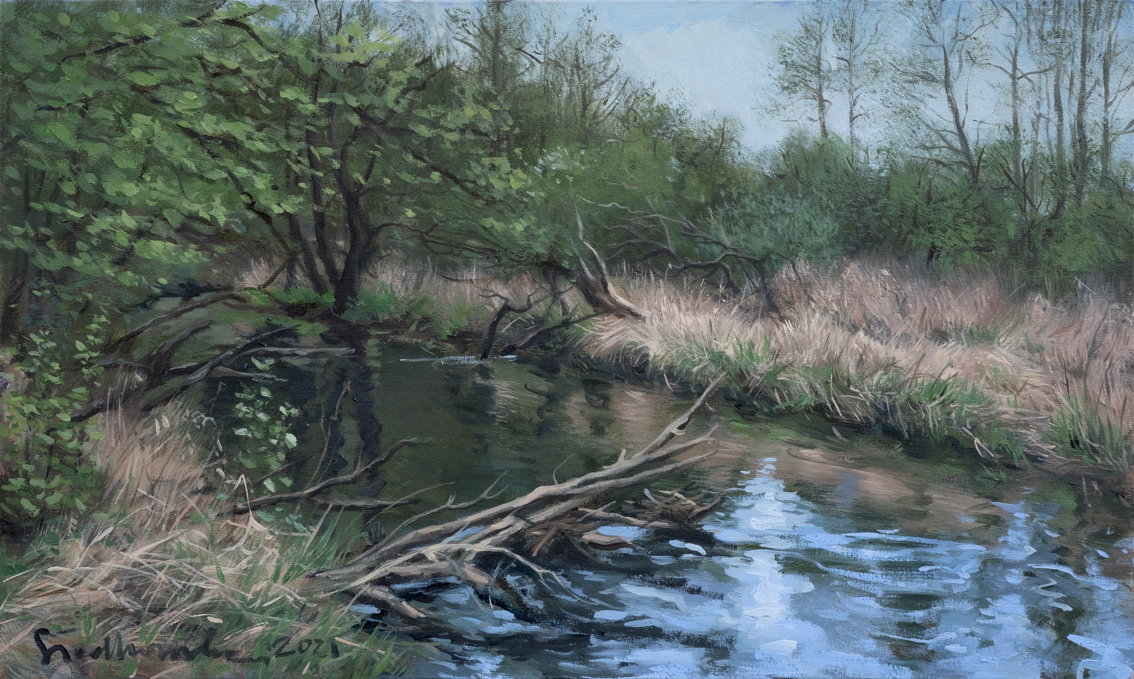 Maj. Puszcza Bolimowska. – obraz olejny na płótnie 50 x 30 cm   /PRIVATE COLLECTION/