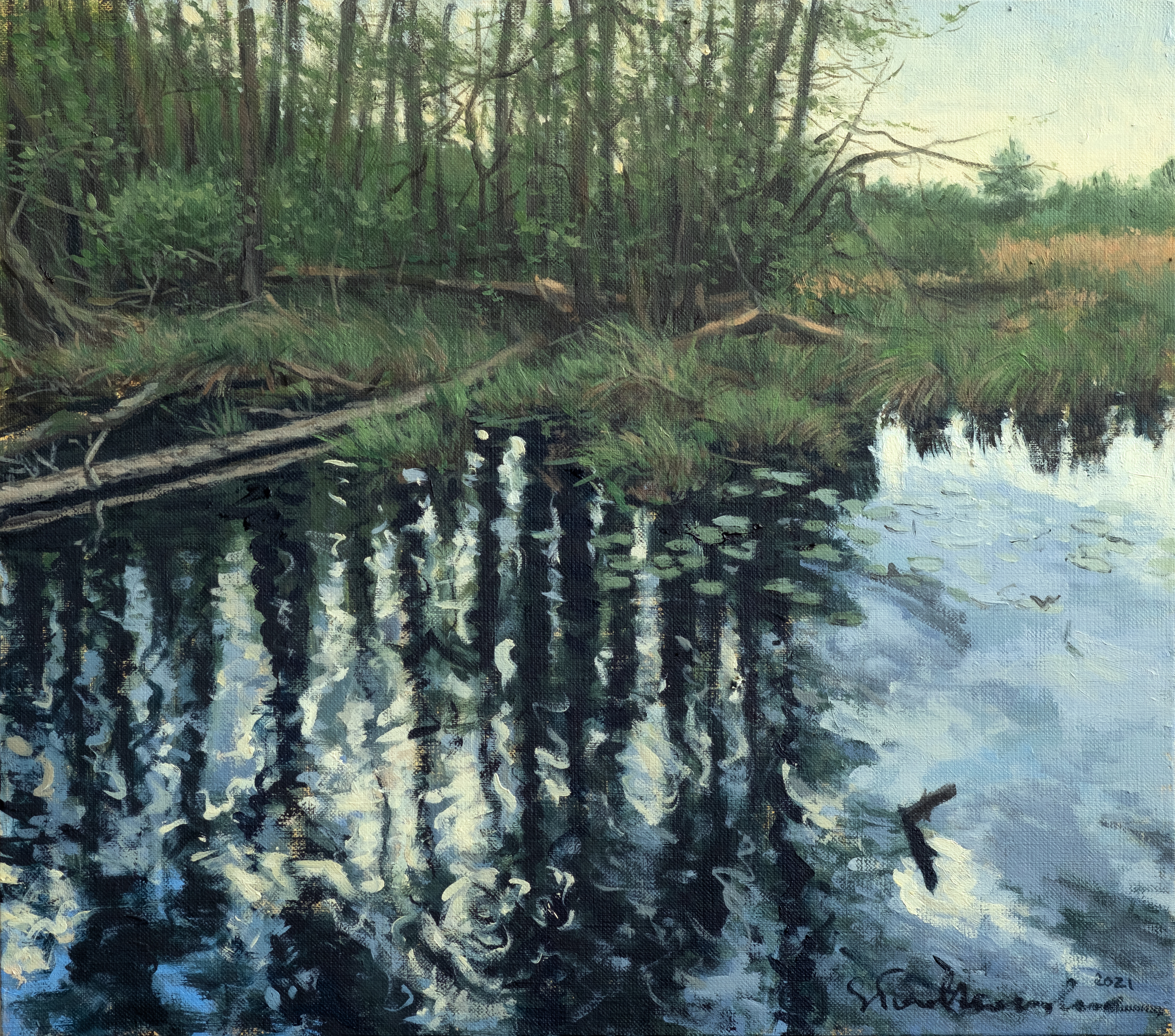 Maj. Puszcza Bolimowska 3. – obraz olejny na płótnie 40 x 35 cm   /PRIVATE COLLECTION/