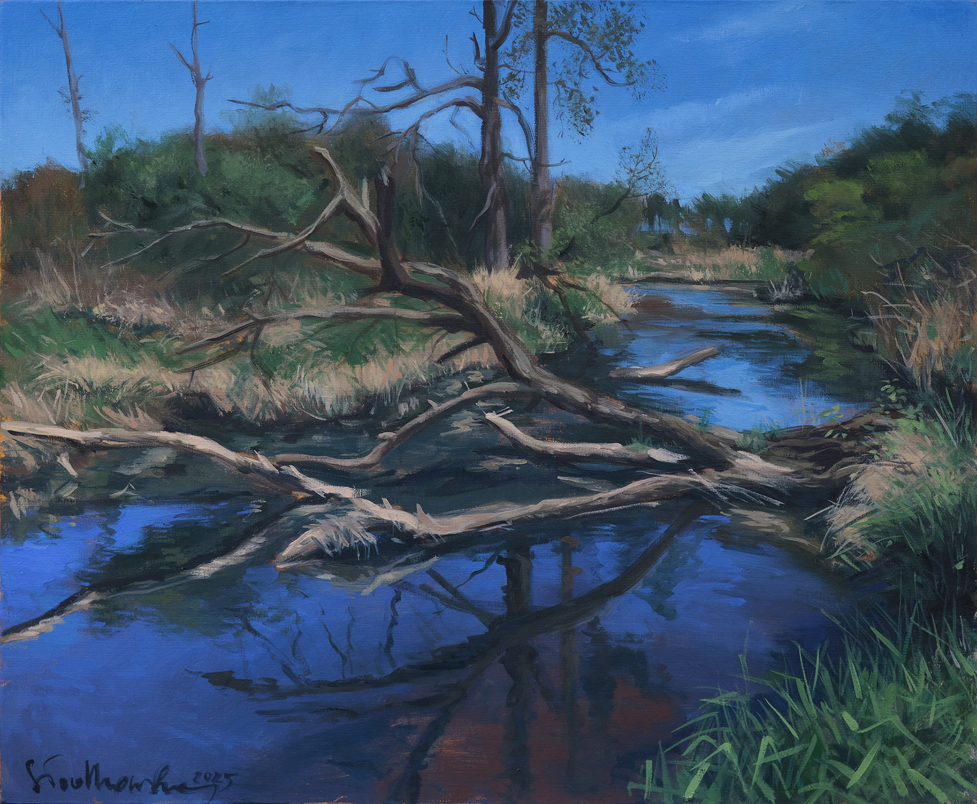 Majówka nad rzeką Rawką 1 - obraz olejny na płótnie 46 x 38 cm