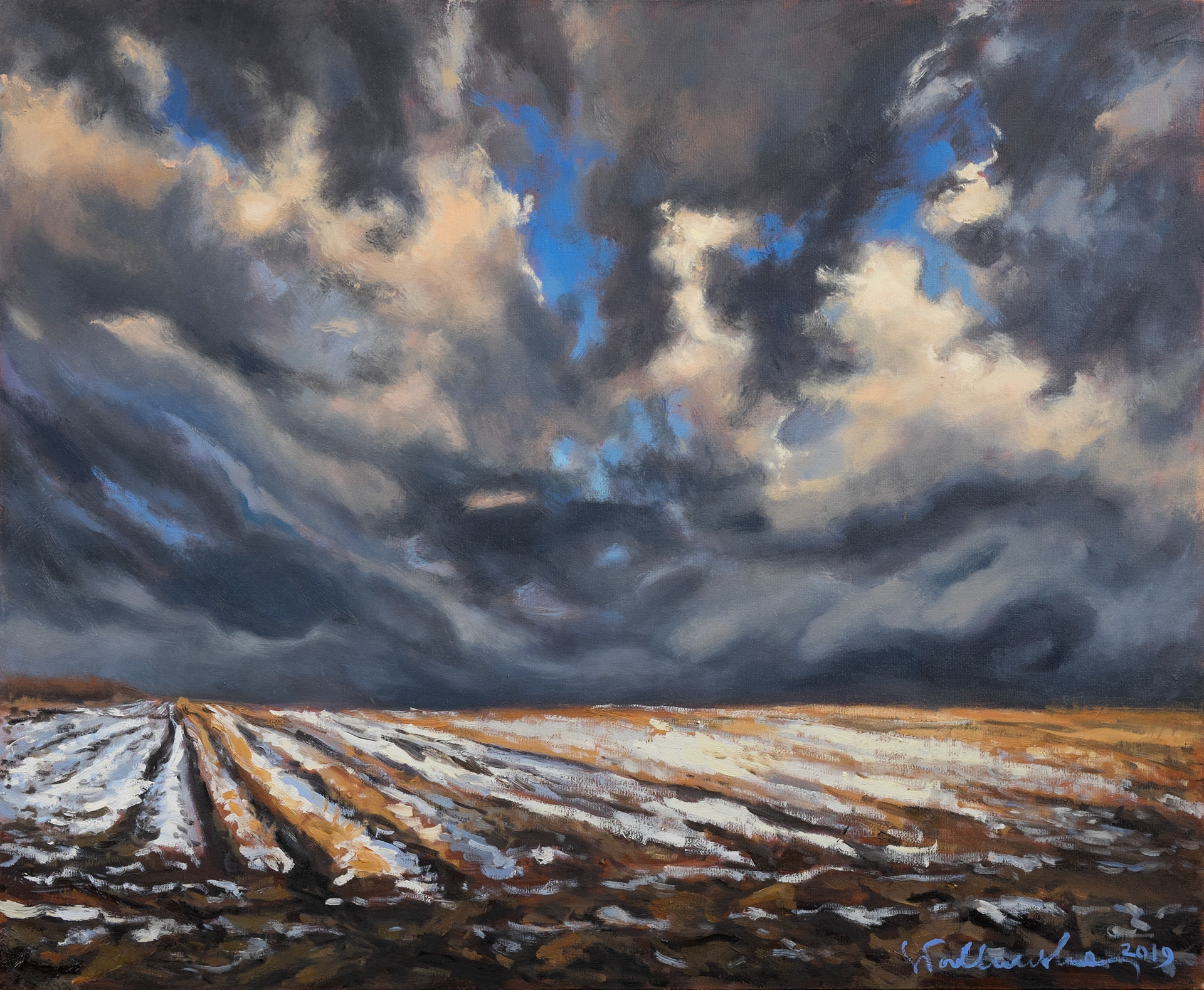 Niebo nad polami - obraz olejny na płótnie 73 x 60 cm   /PRIVATE COLLECTION/