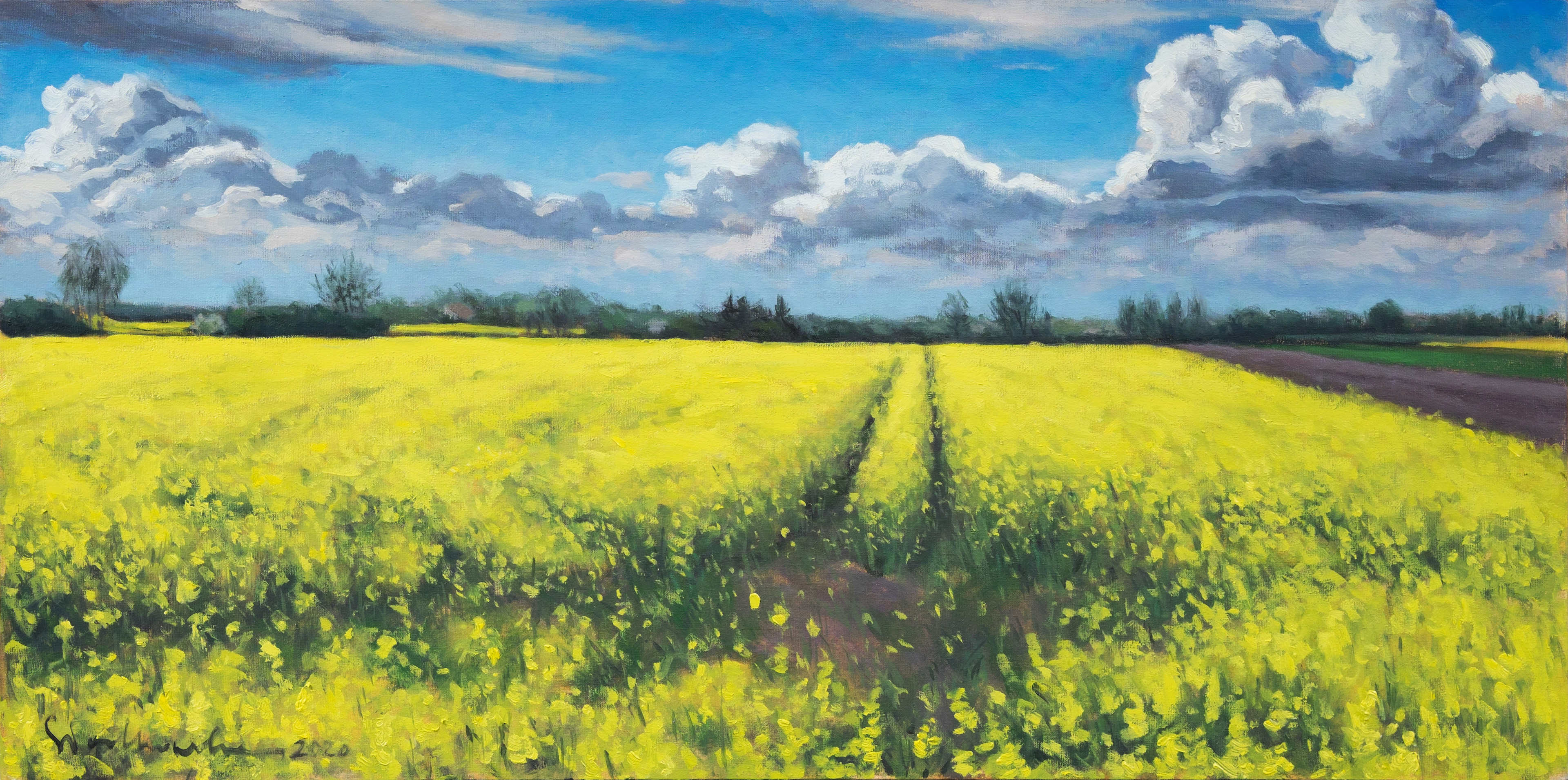 Rzepakowe pole 3. Mazowsze. - obraz olejny na płótnie 80 x 40 cm