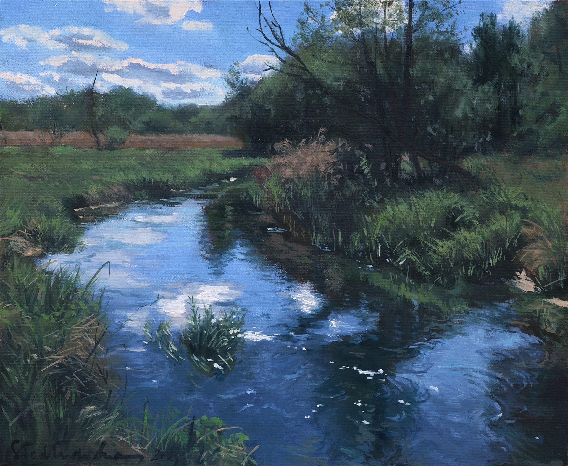 Majówka nad rzeką Rawką 2 - obraz olejny na płótnie 46 x 38 cm