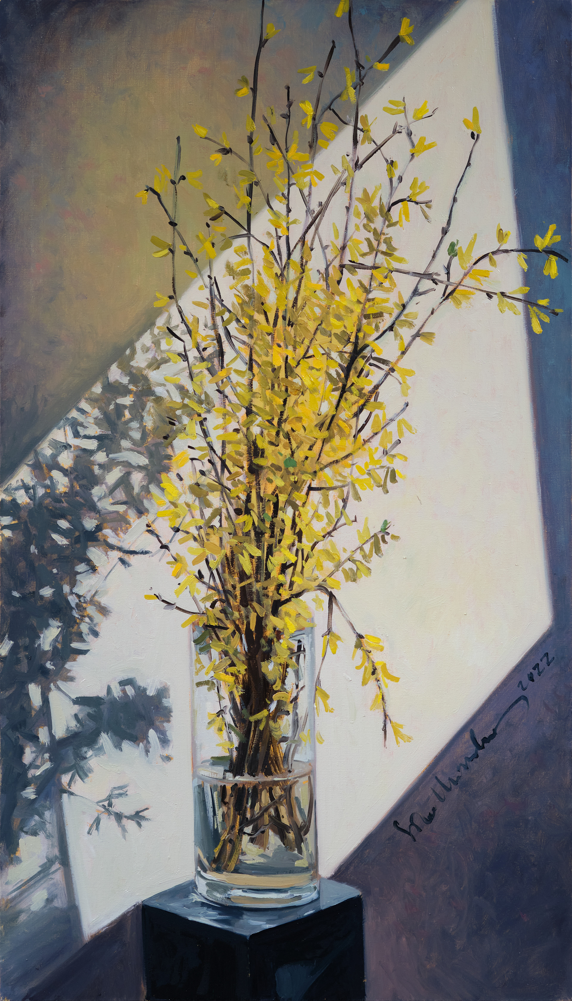 Forsycja – obraz olejny na płótnie 40 x 70 cm