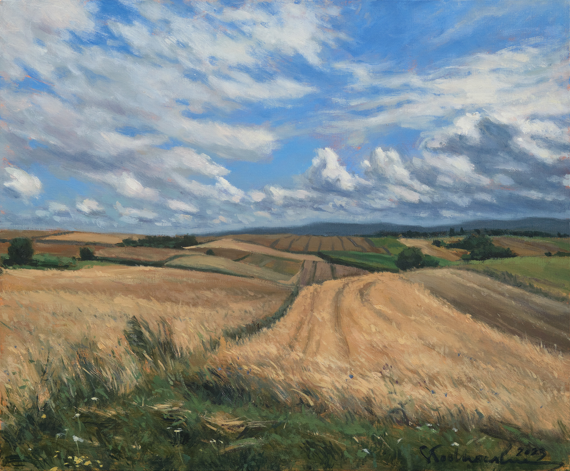 Pola, chmury i wiatr. Świętokrzyskie. – obraz olejny na płótnie 46 x 38 cm