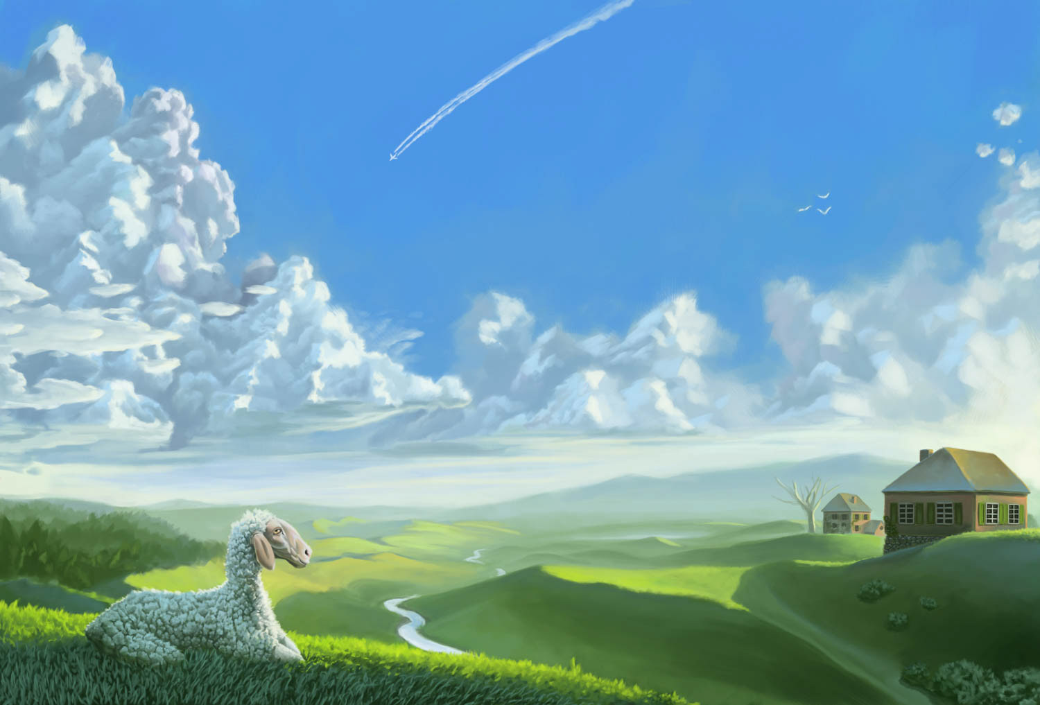 Wiesenmeer Landschaftsillustration