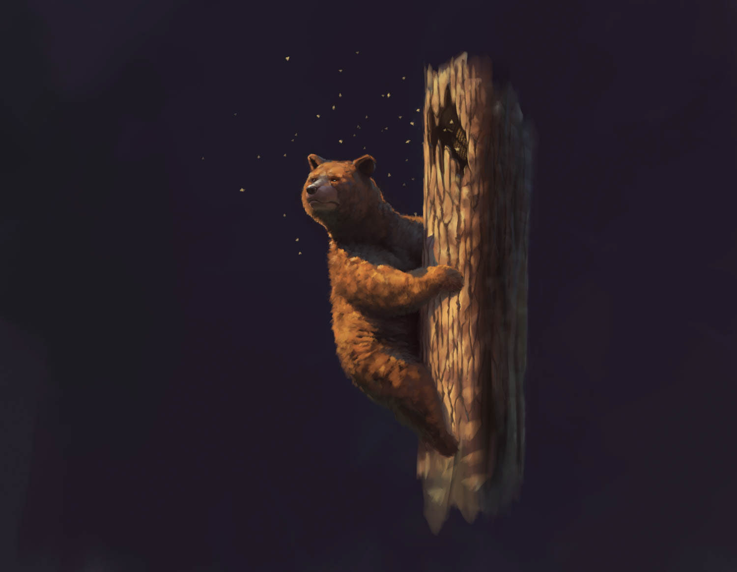 Braunbär Tierstudie Illustration
