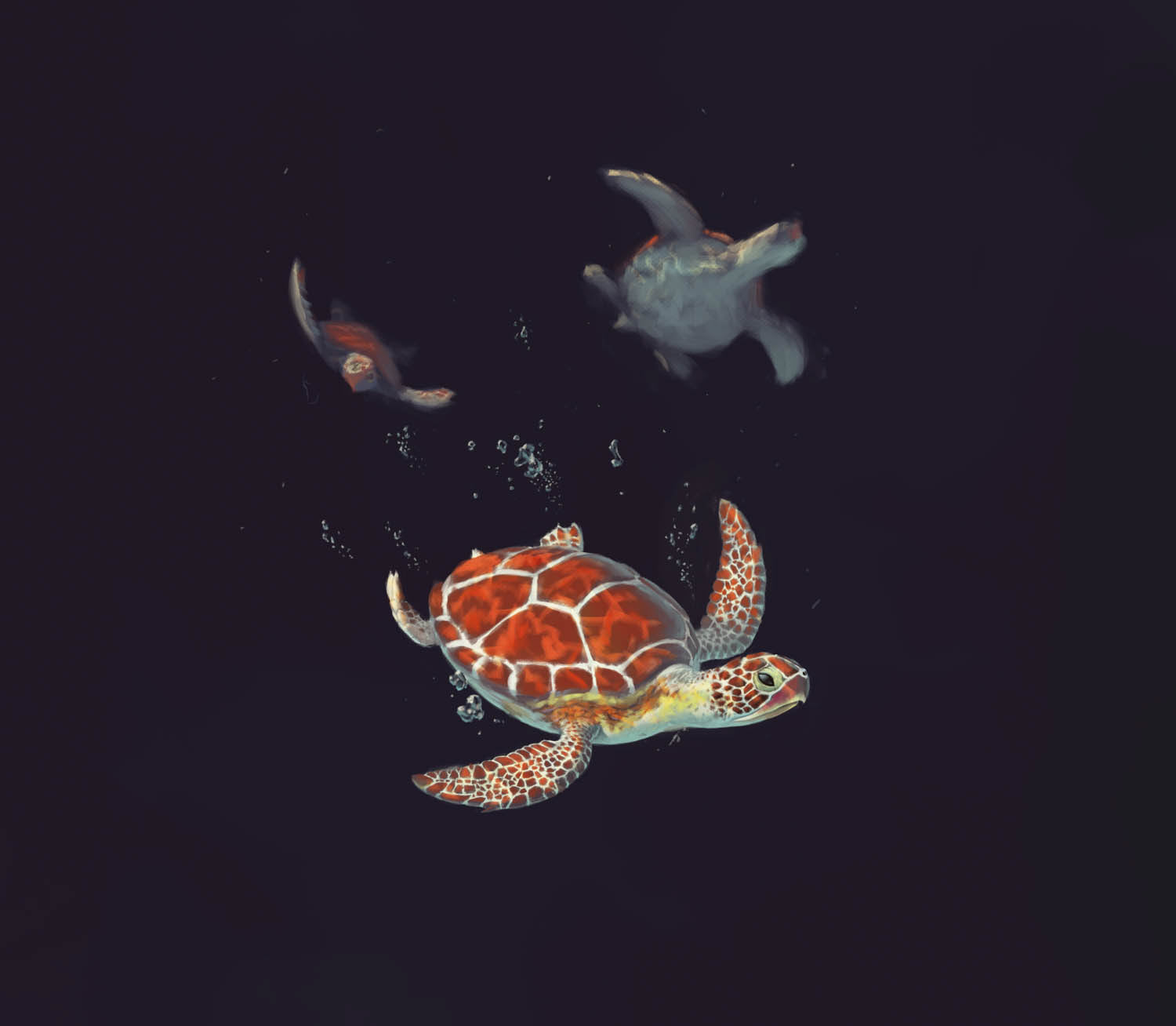 Meeresschildkröte Studie Tierillustration