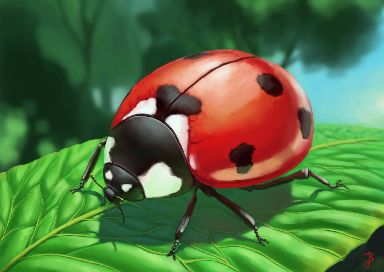Marienkäfer Tierstudie Illustration