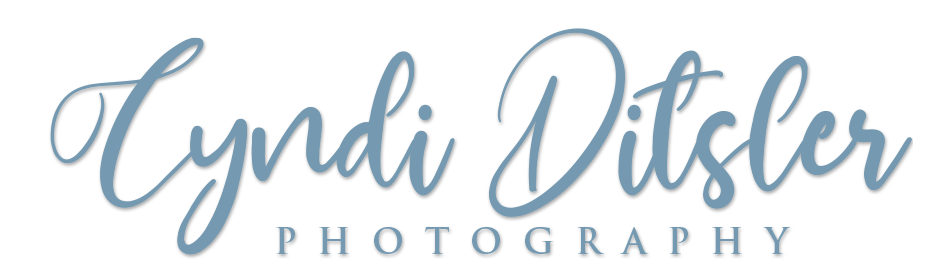 Cyndi Ditsler Photography
