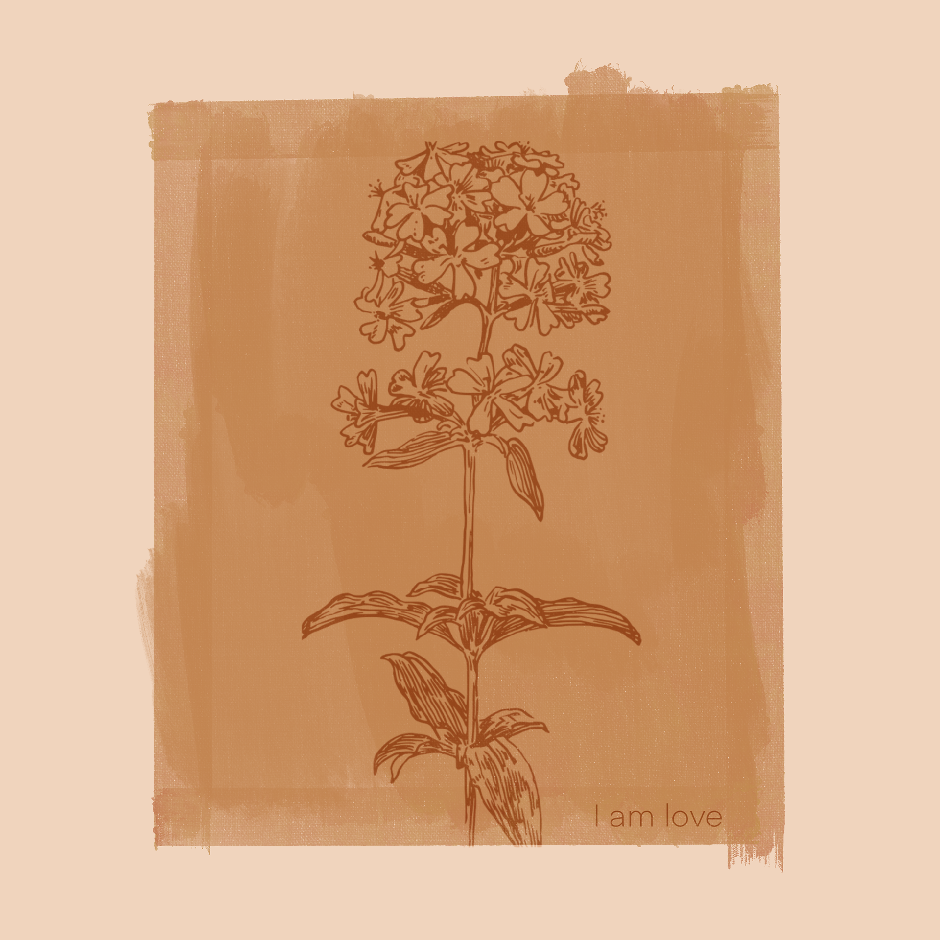 Petals