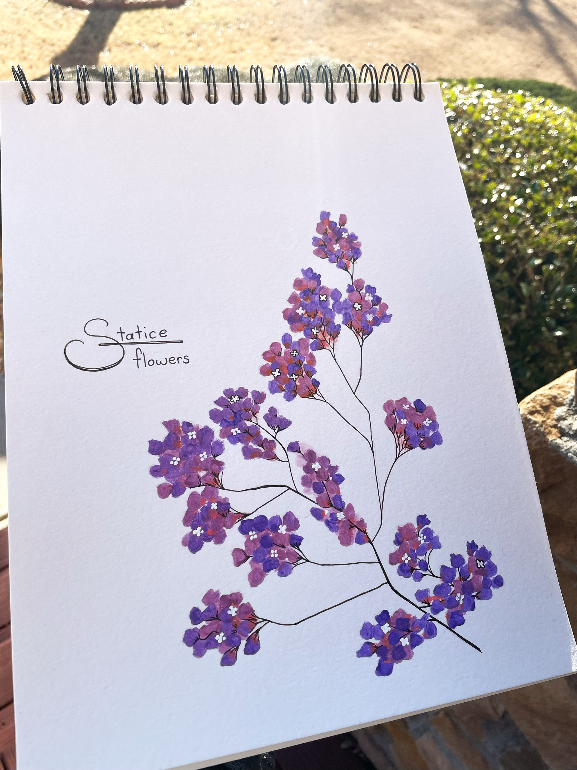 Statice Flowers