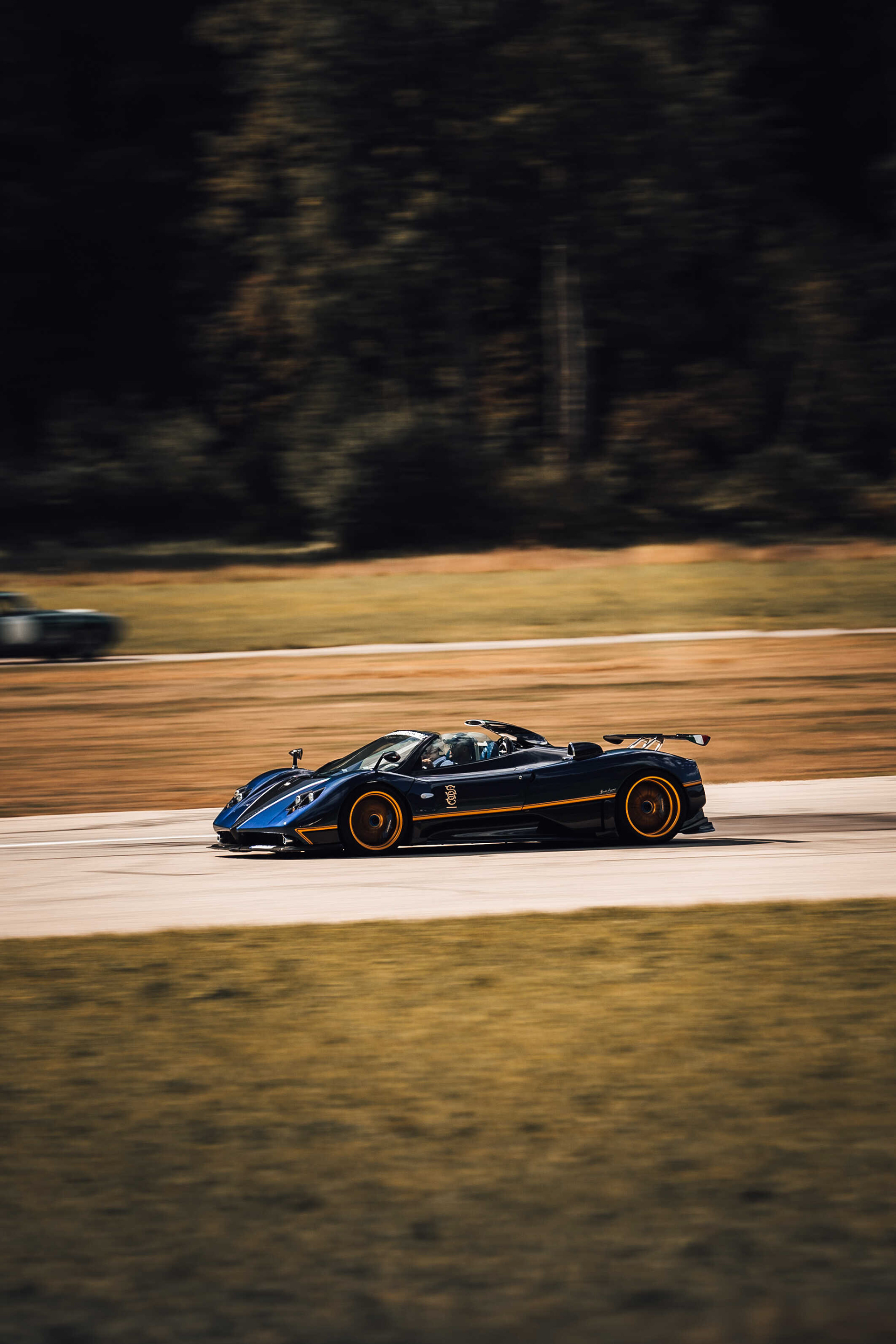 Pagani Zonda Unica