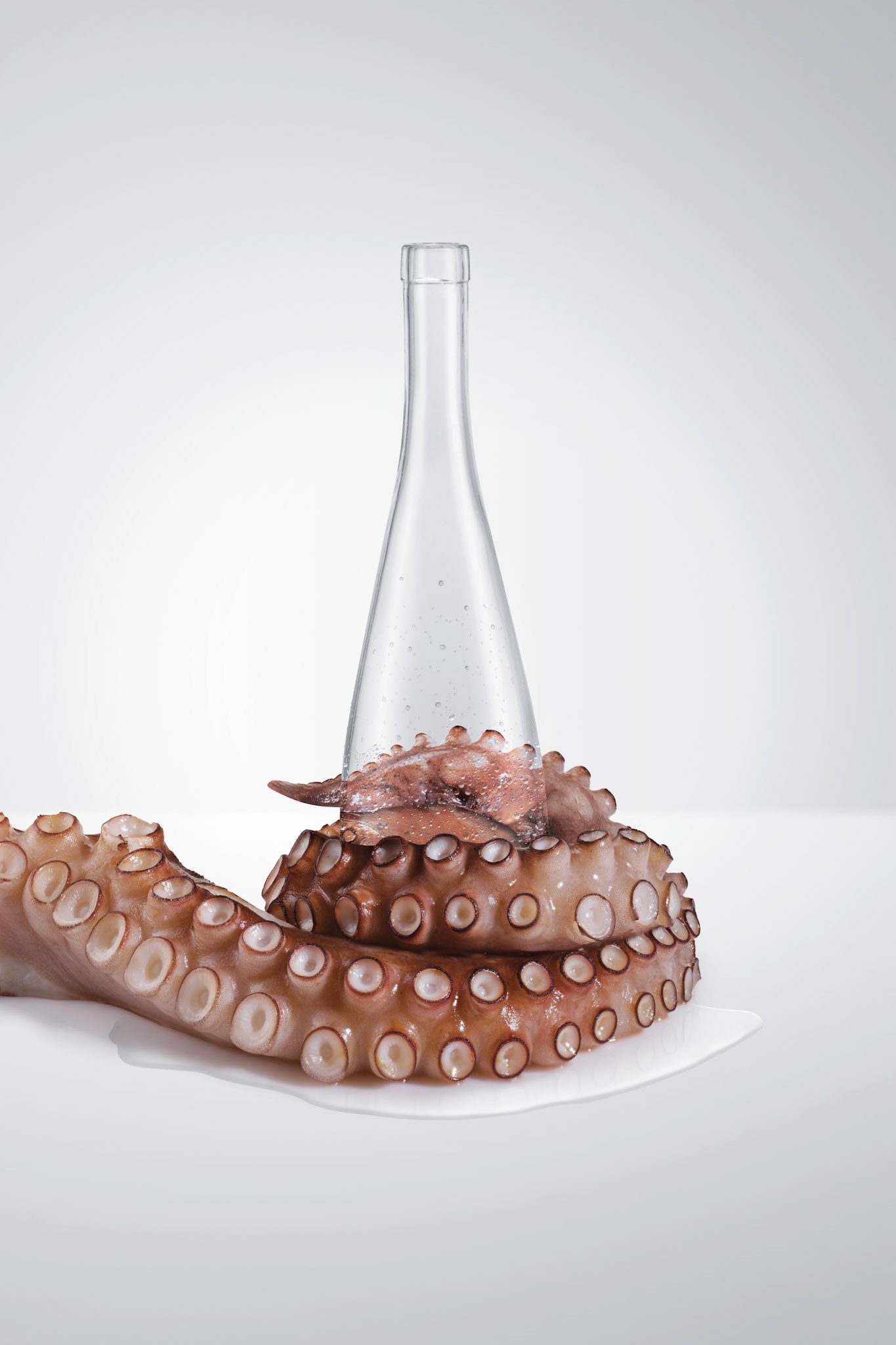 Montage photo et retouche