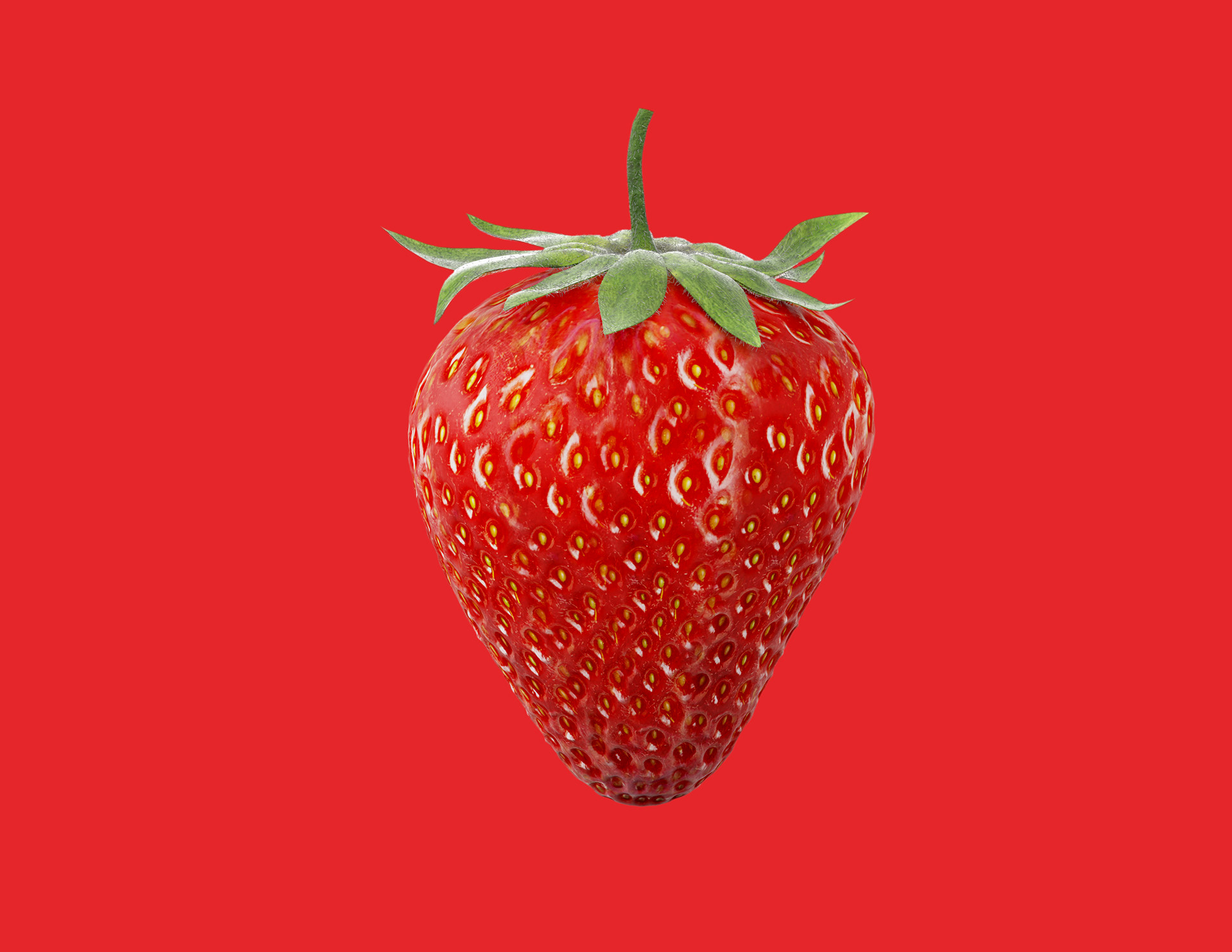 Fruit 3D