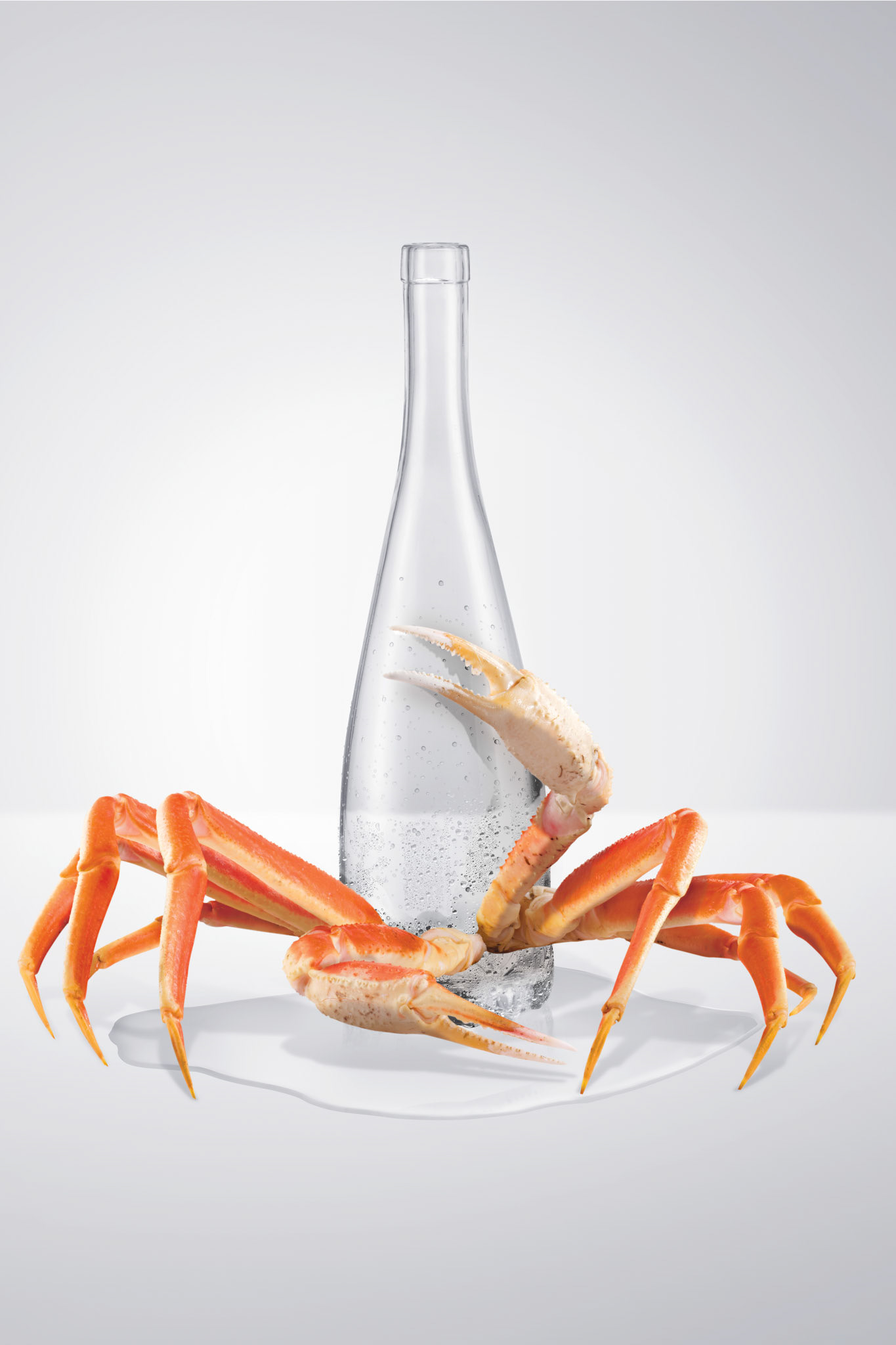 Montage photo et retouche