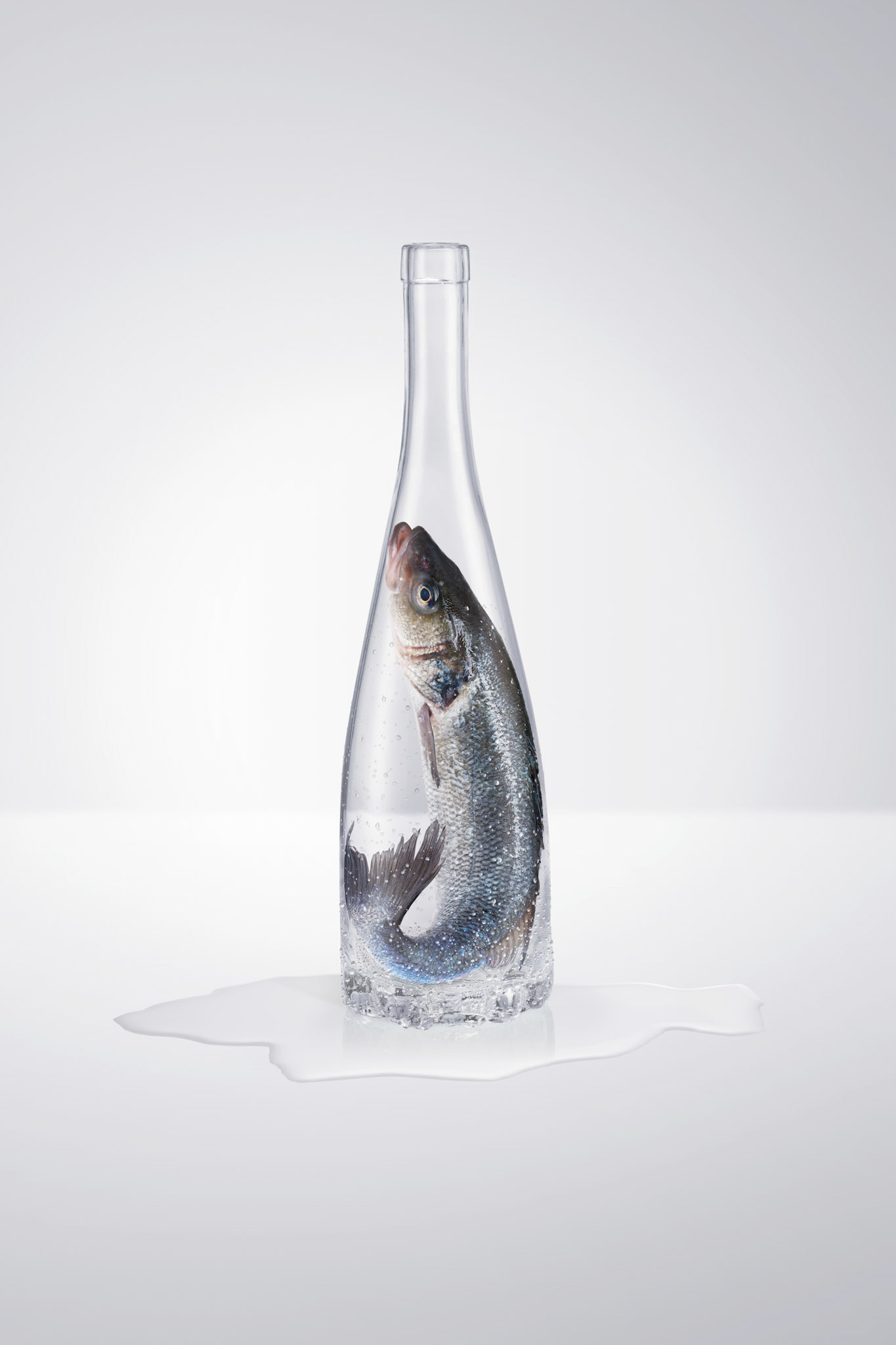 Montage photo et retouche