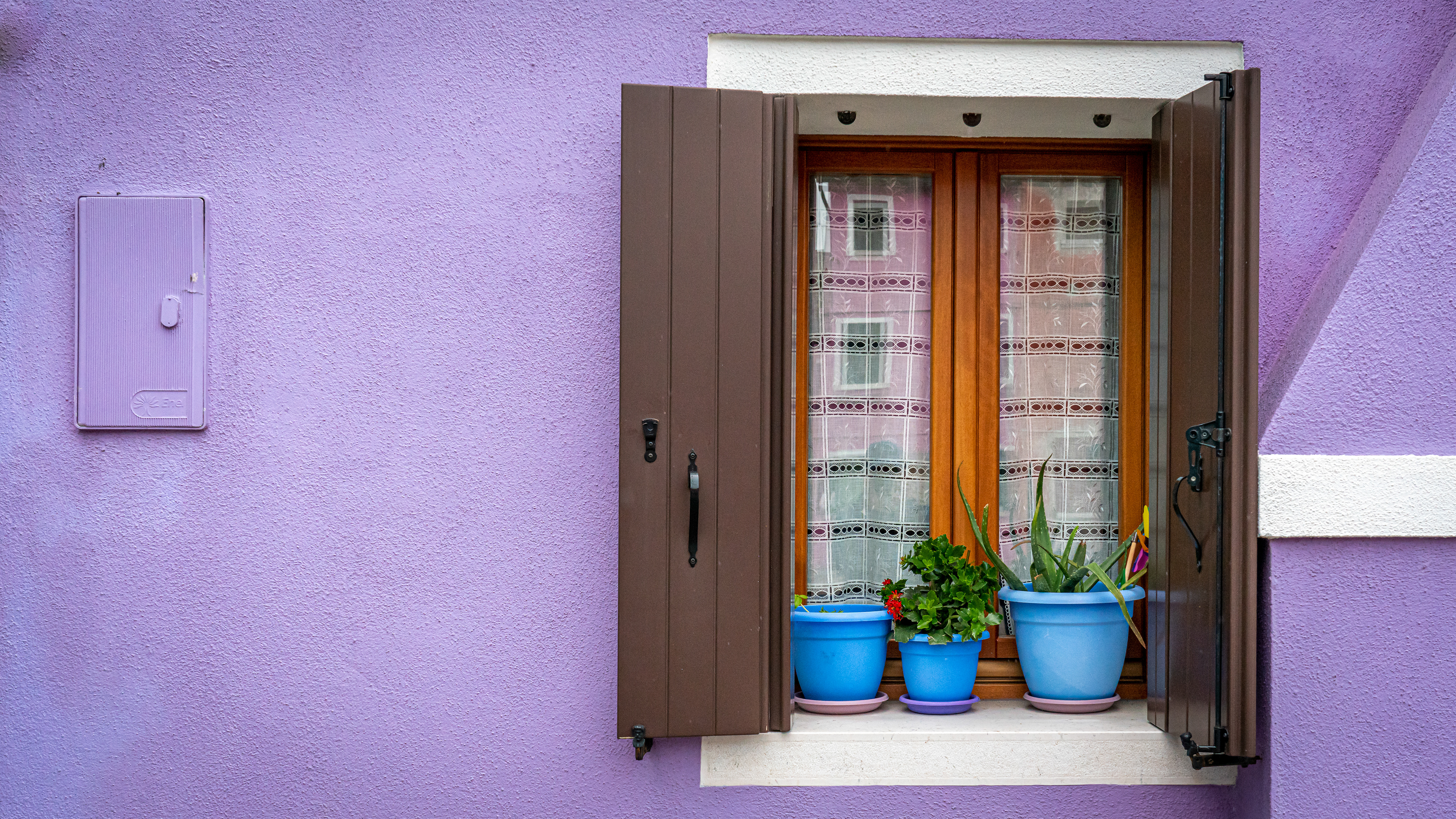 Mur mauve