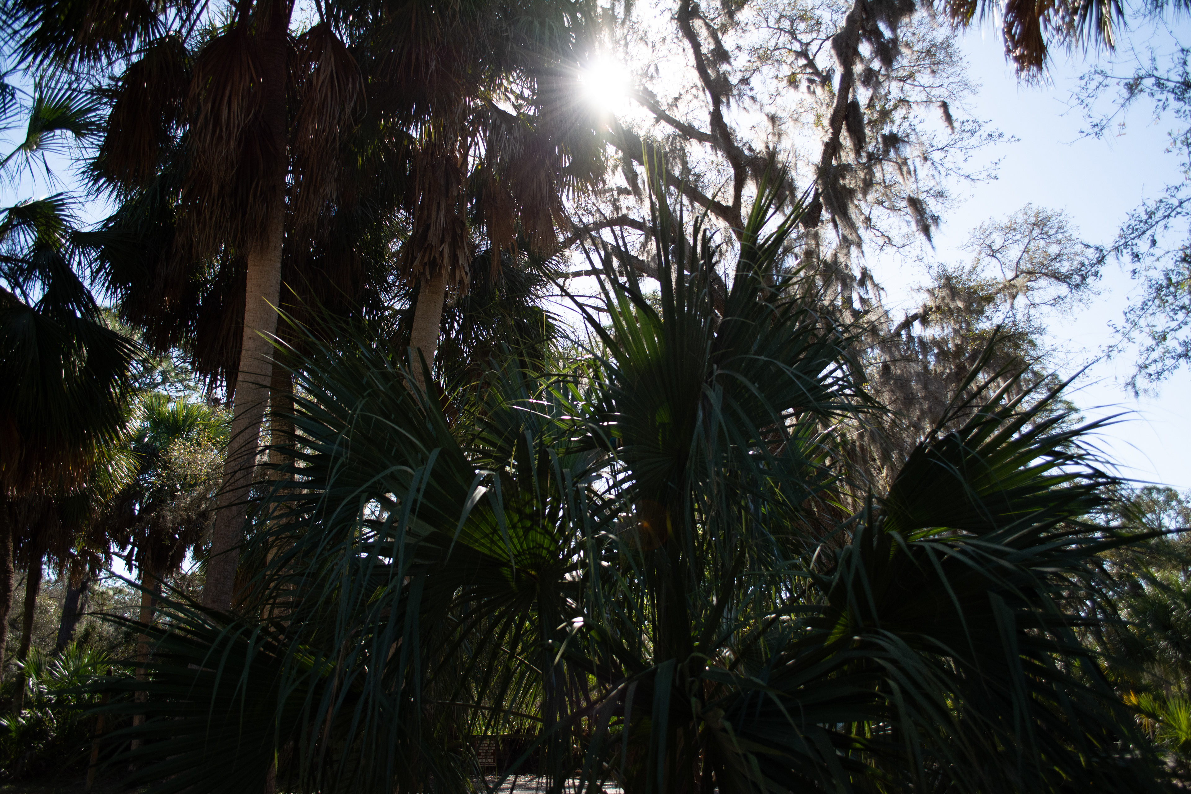 John Chesnut Sr. Park