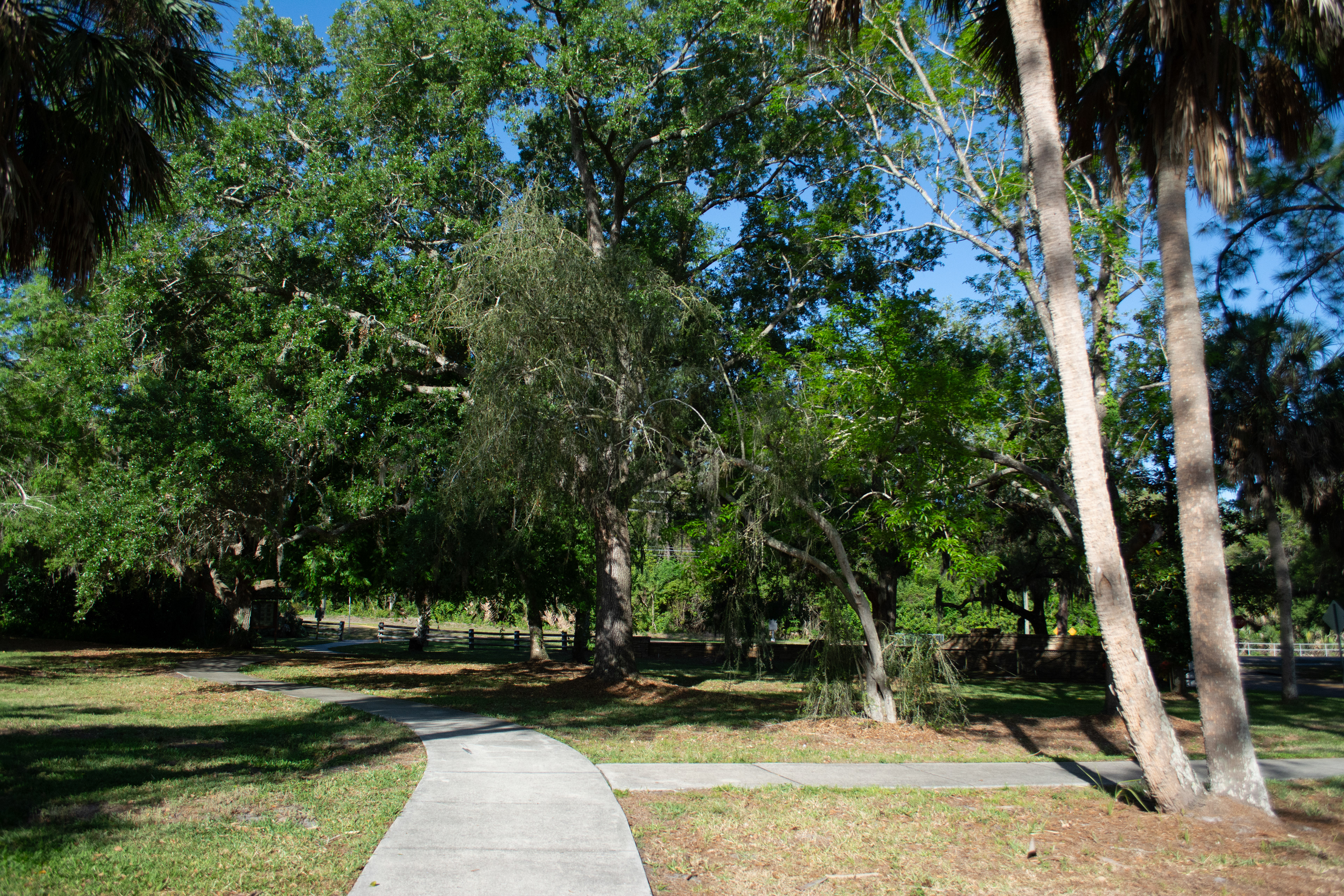 Philippe Park Safety Harbor