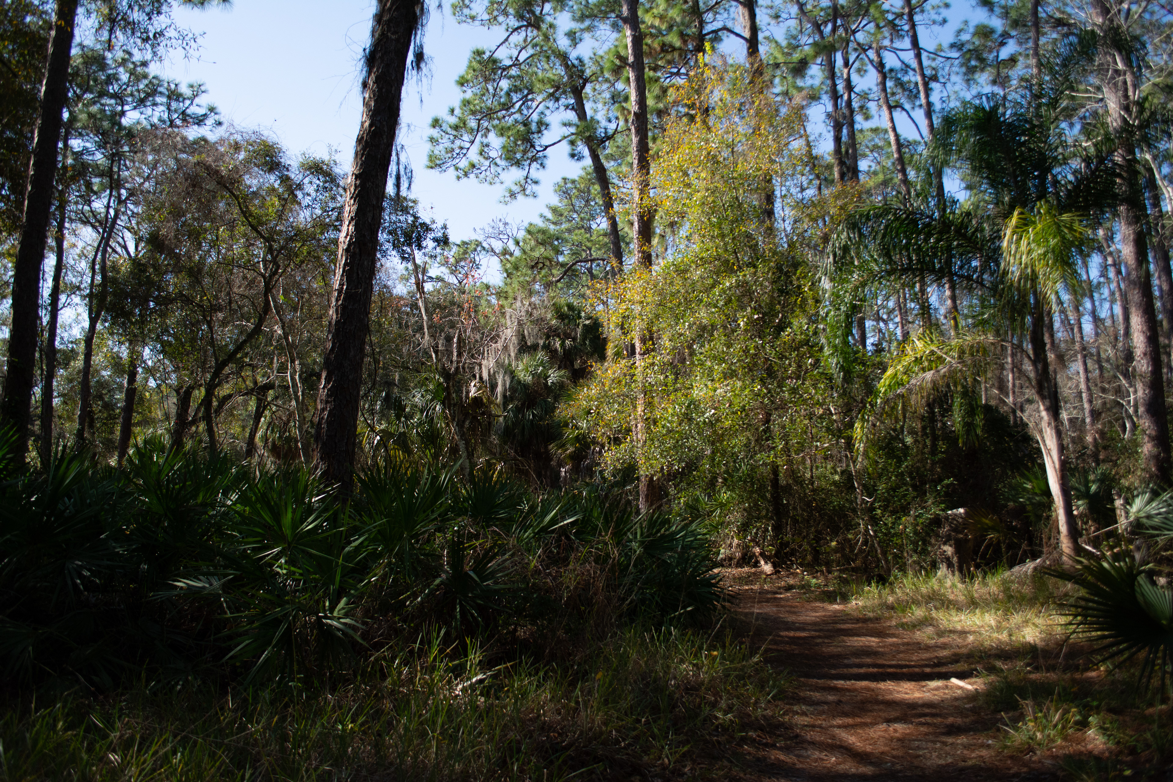 John Chesnut Sr. Park