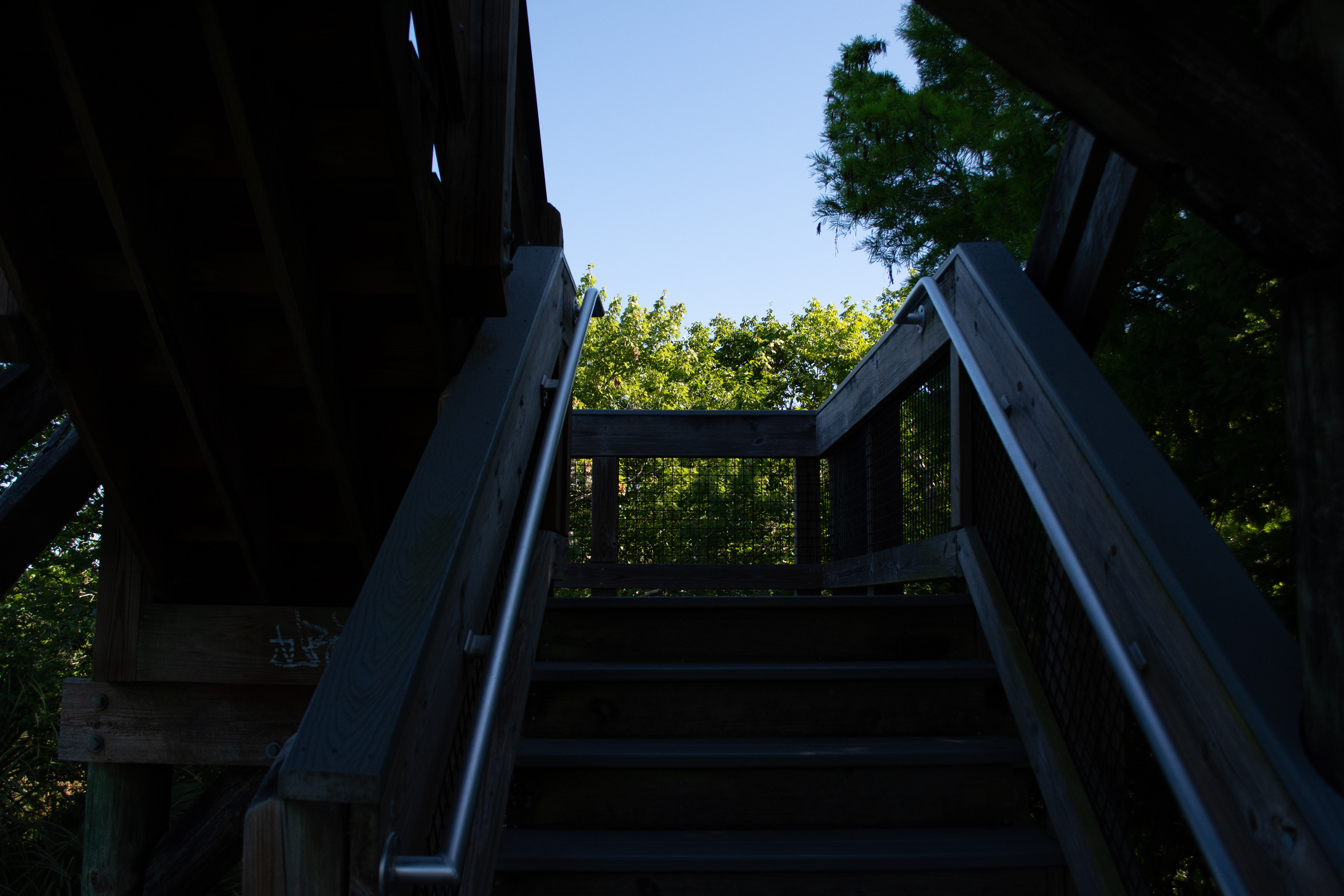 John Chesnut Sr. Park