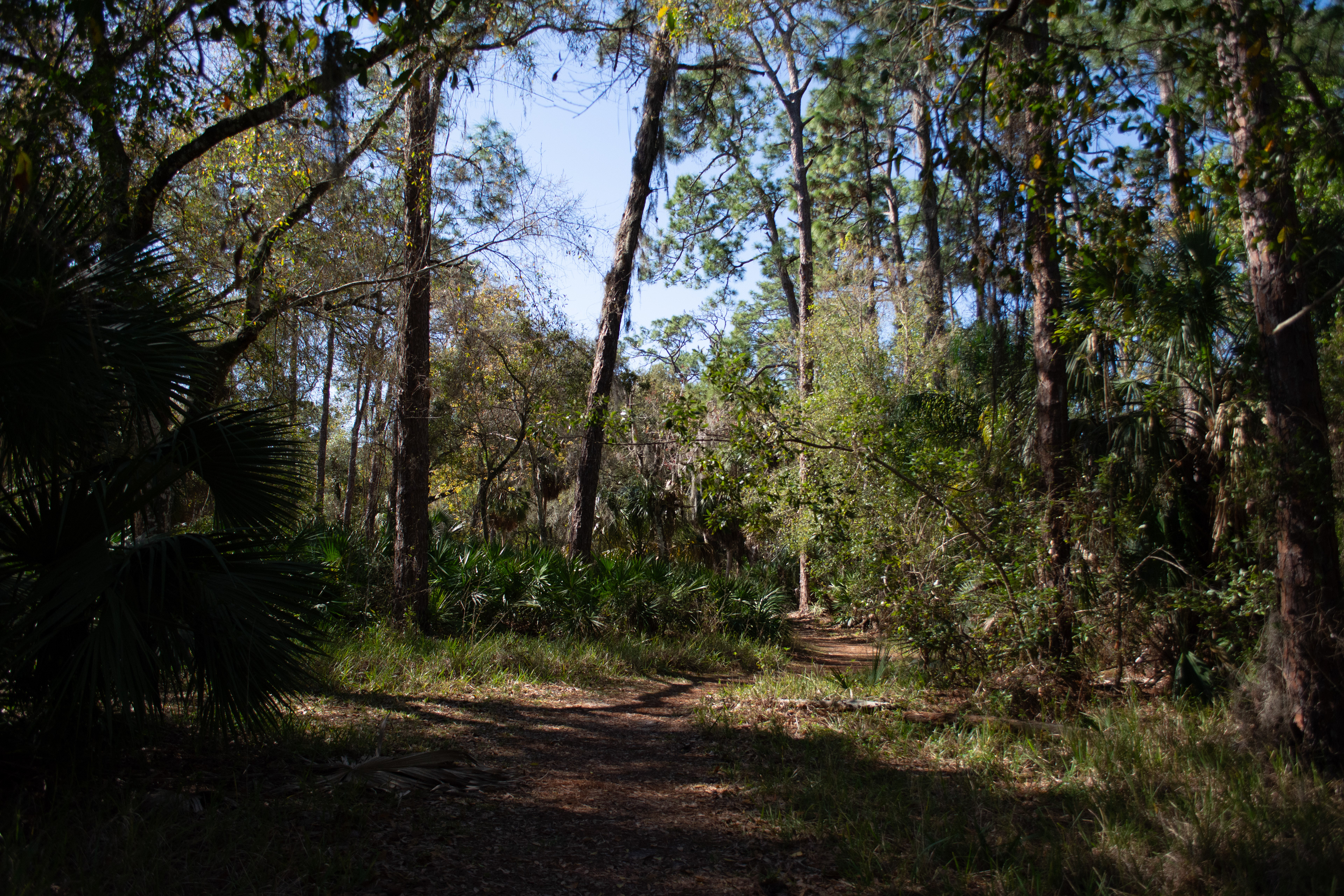 John Chesnut Sr. Park