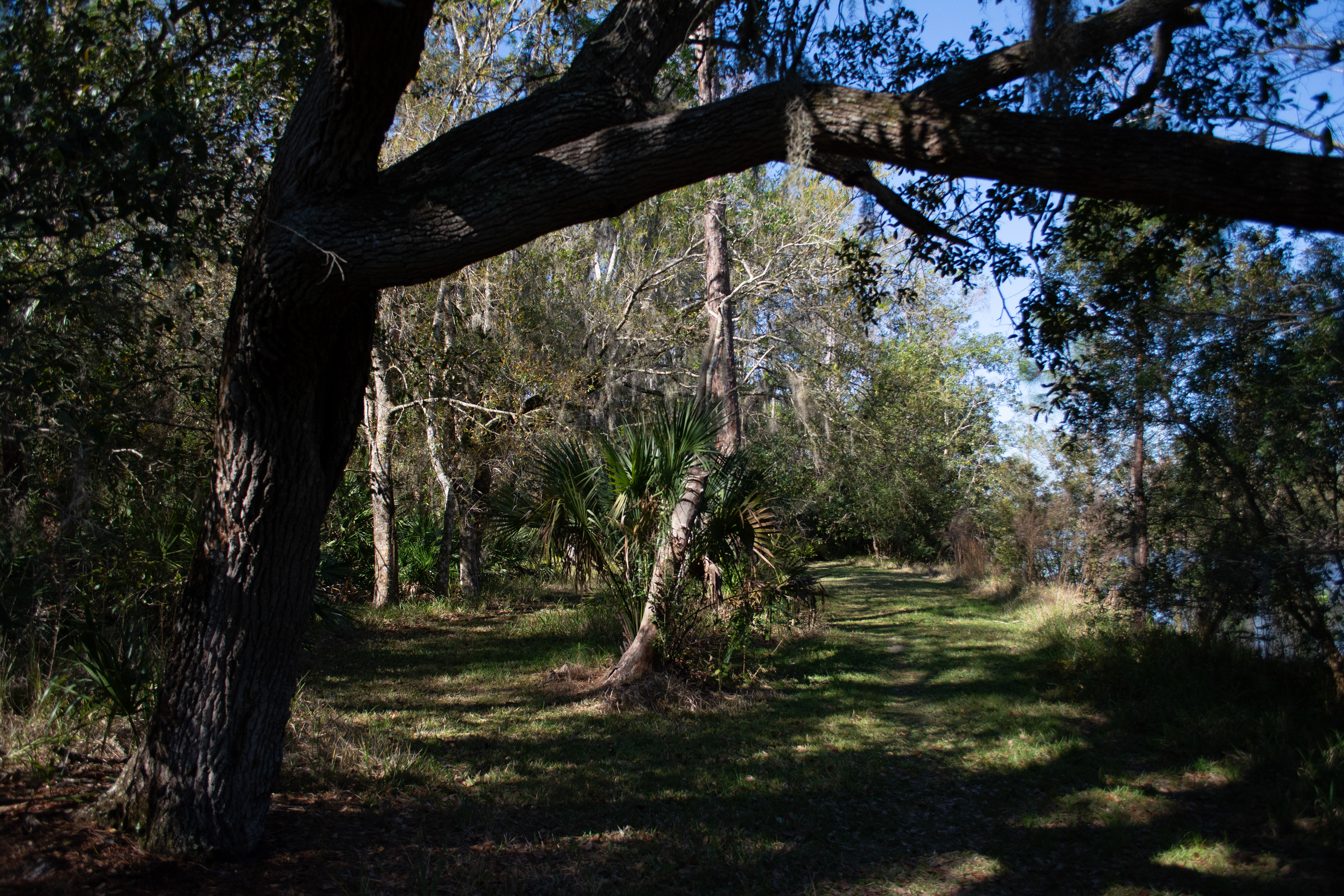 John Chesnut Sr. Park