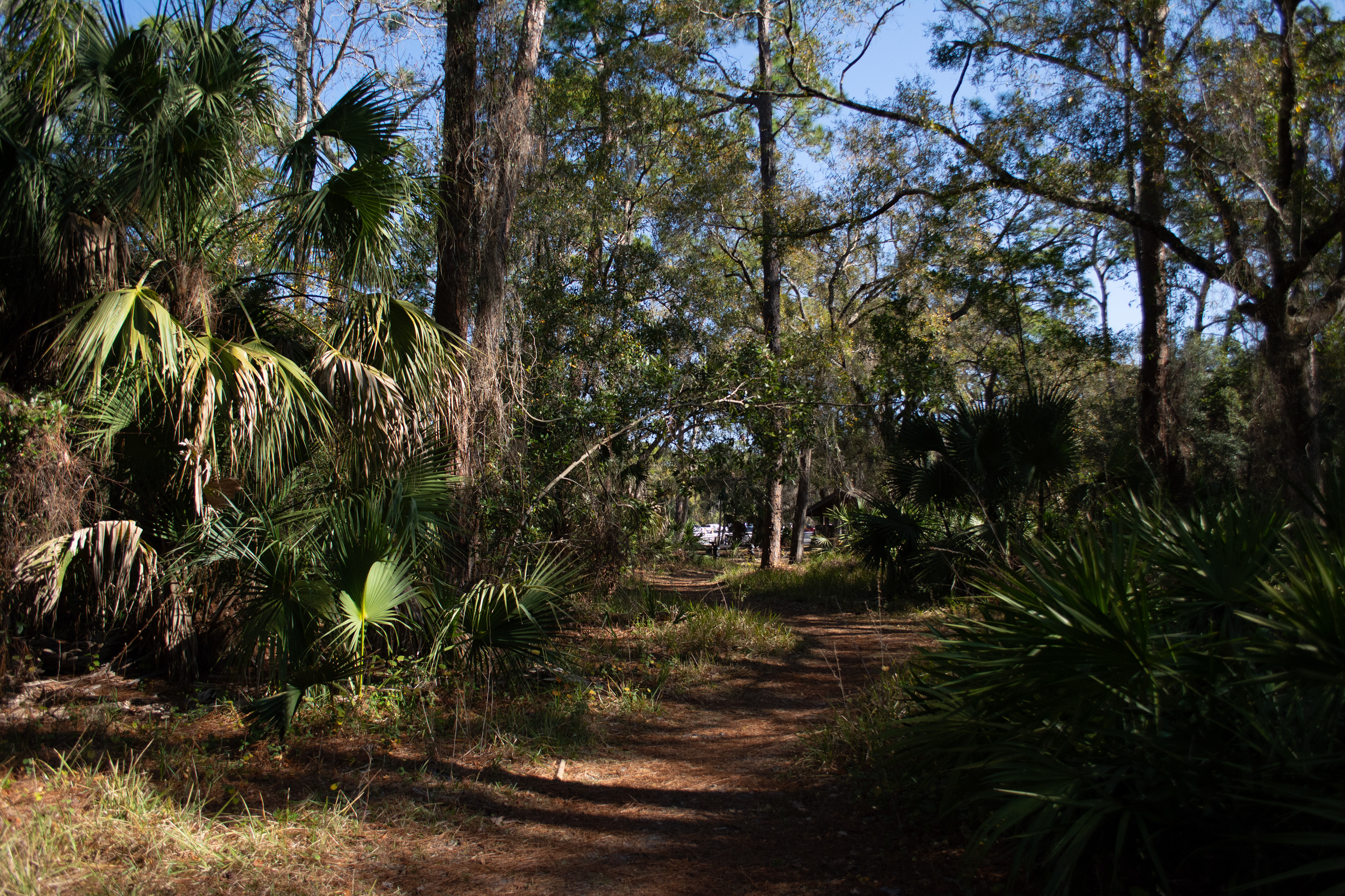 John Chesnut Sr. Park