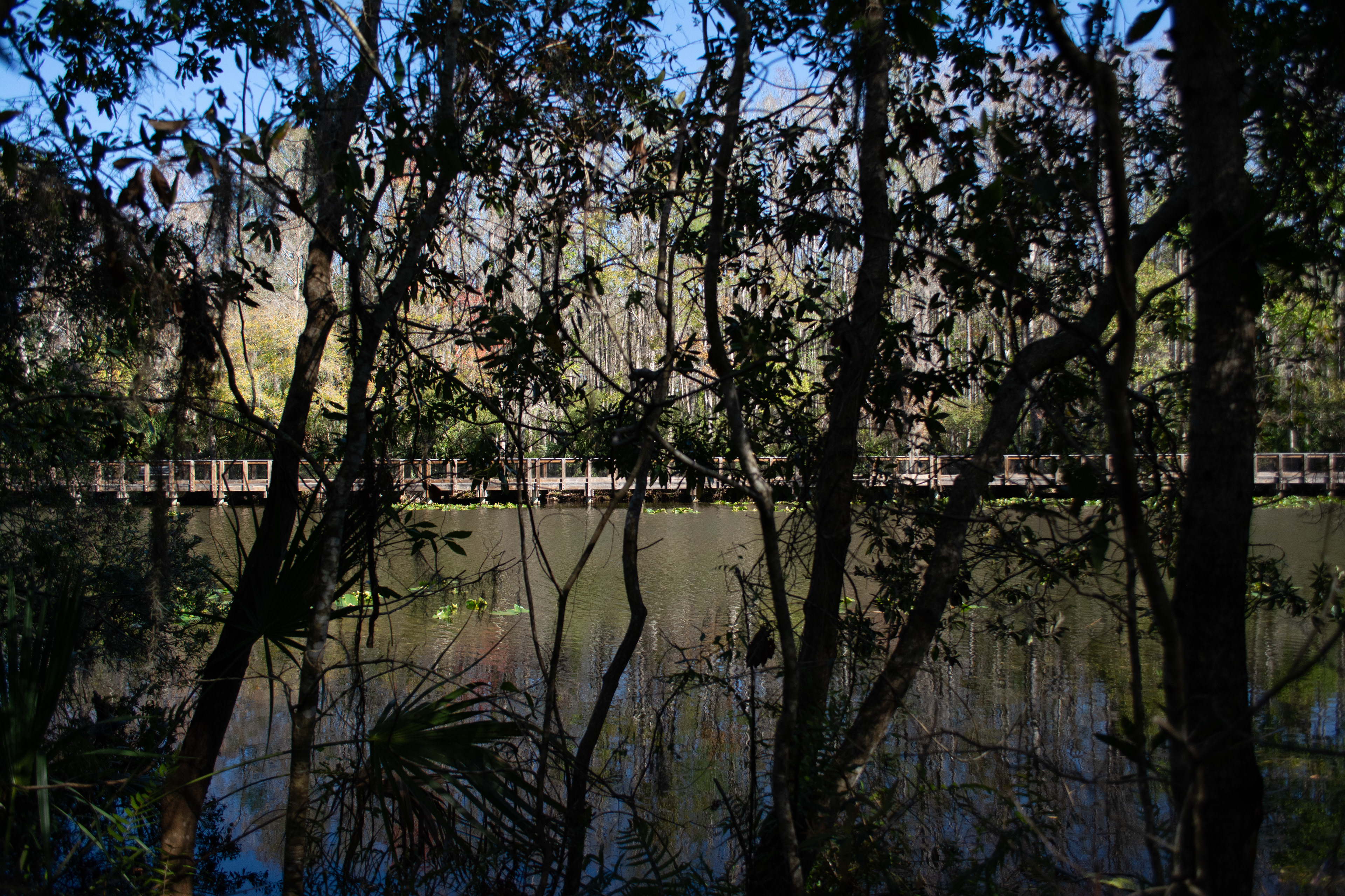 John Chesnut Sr. Park