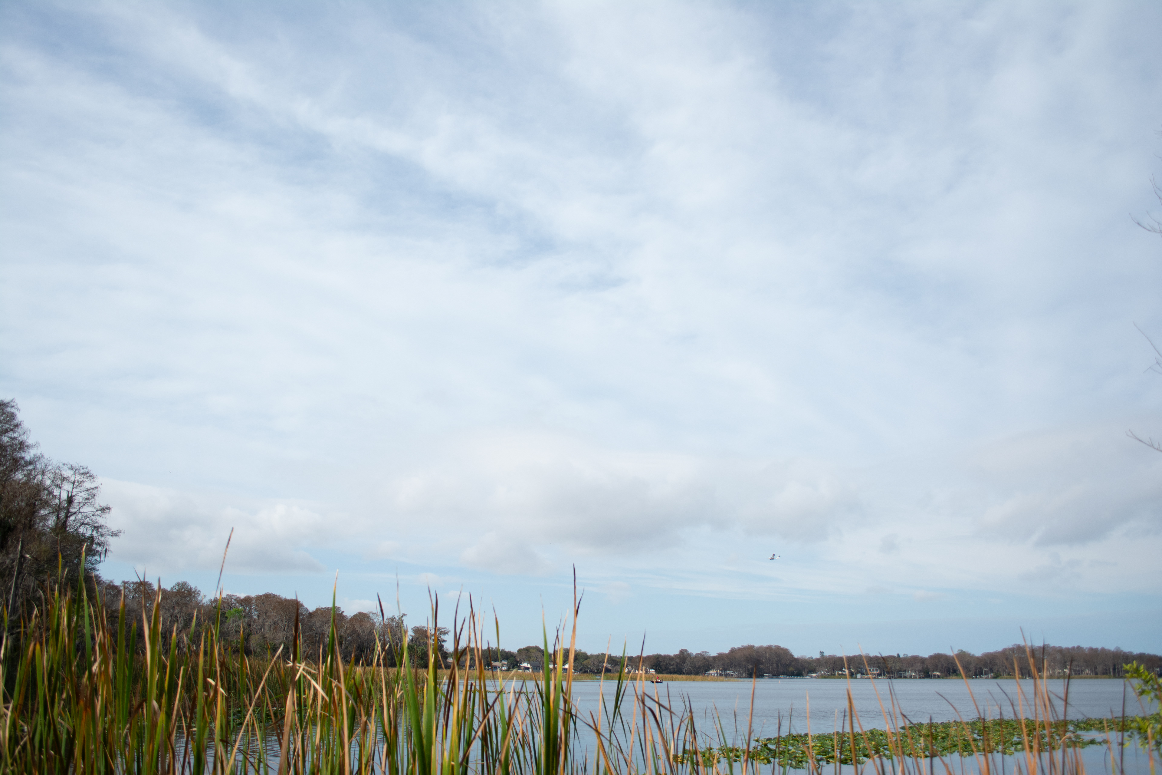 John Chesnut Sr. Park
