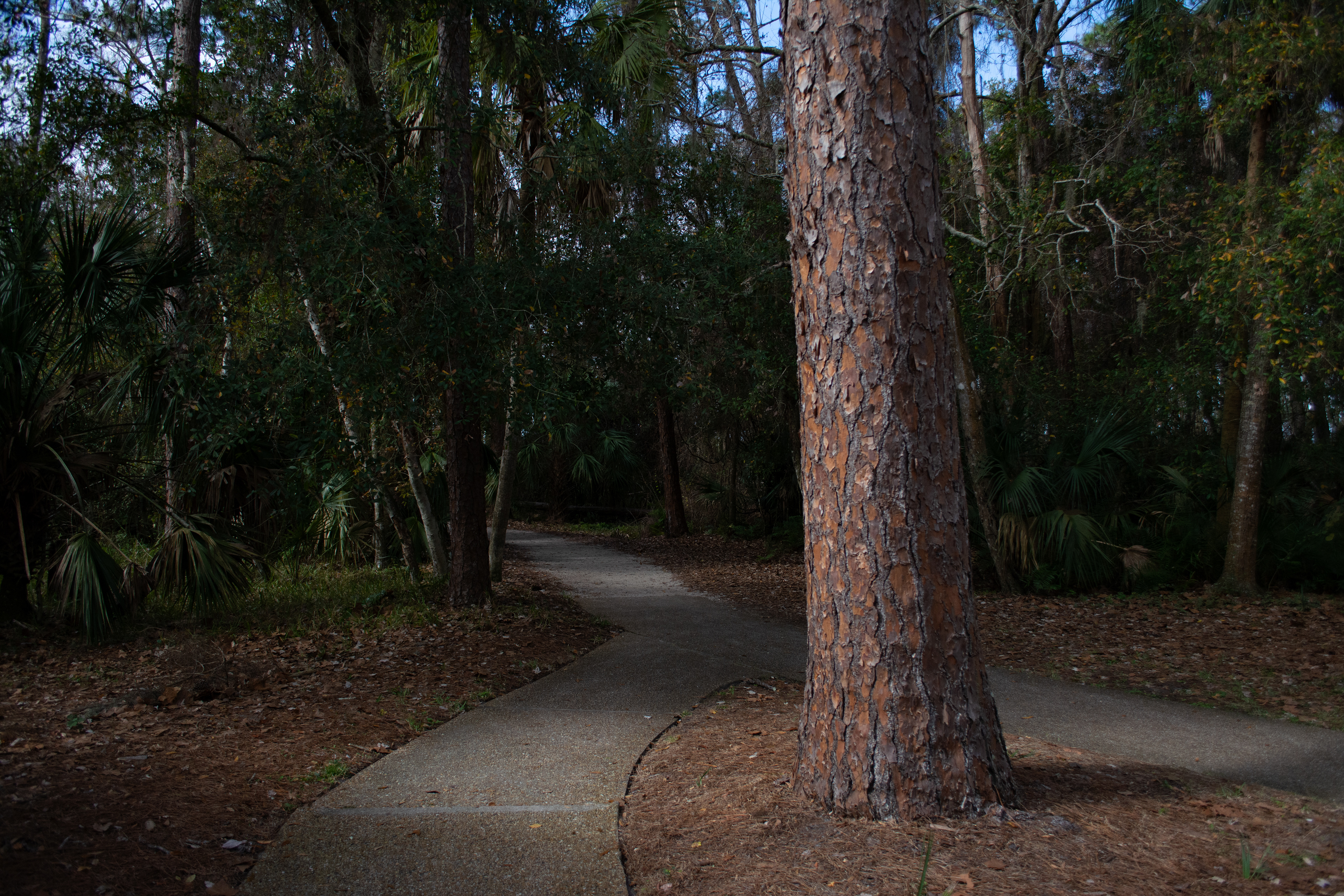 John Chesnut Sr. Park