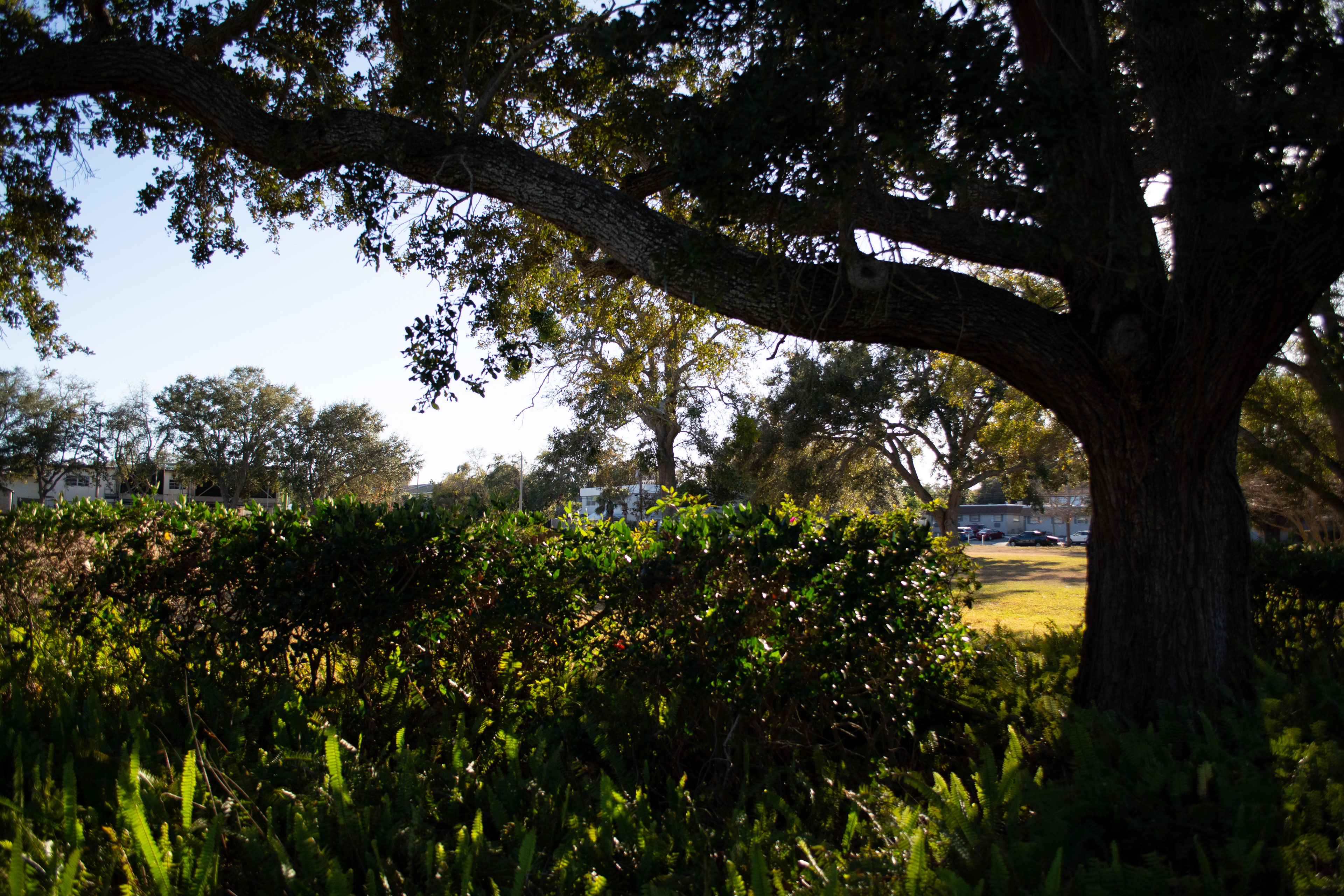 St. Petersburg College Clearwater, Florida