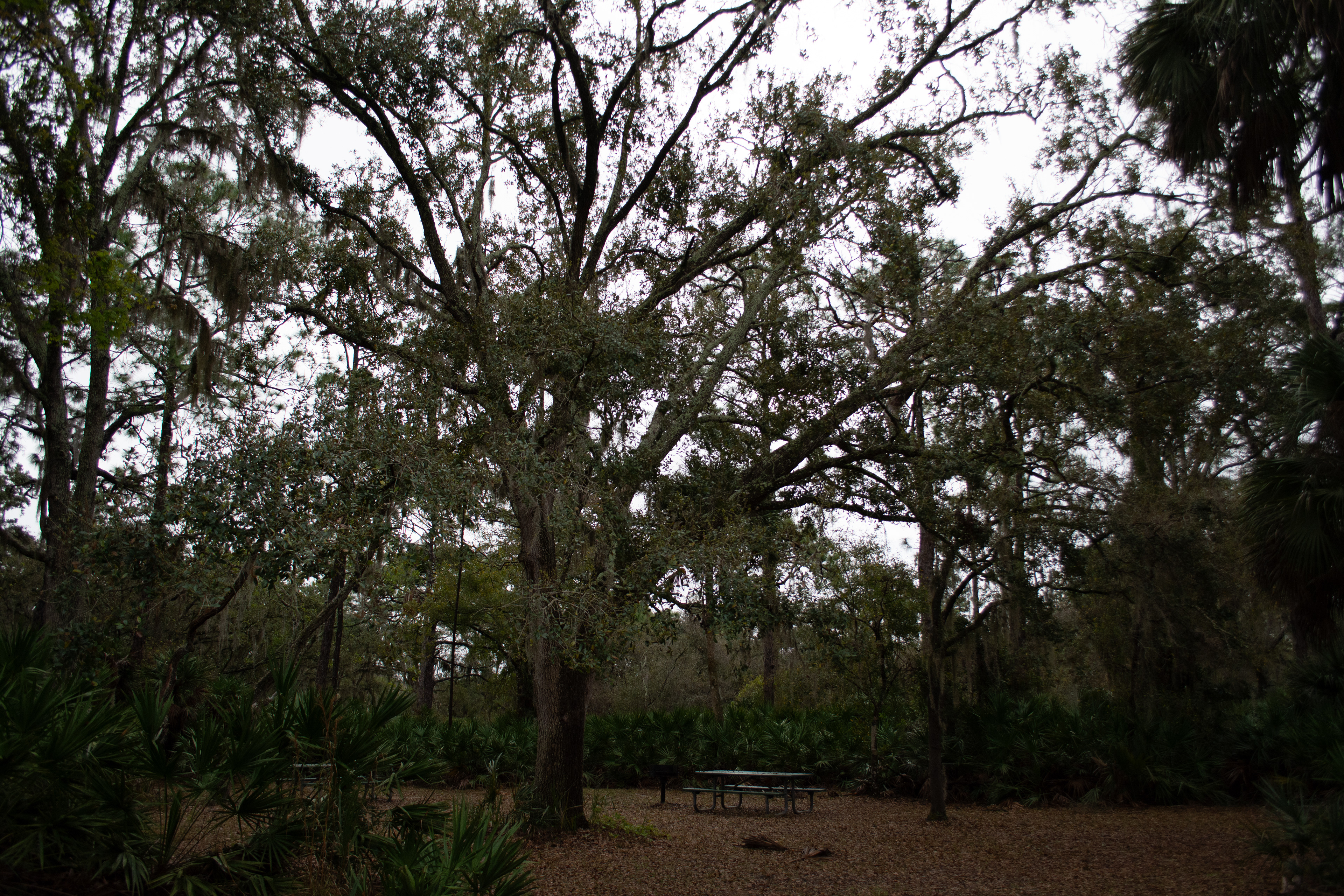 John Chesnut Sr. Park
