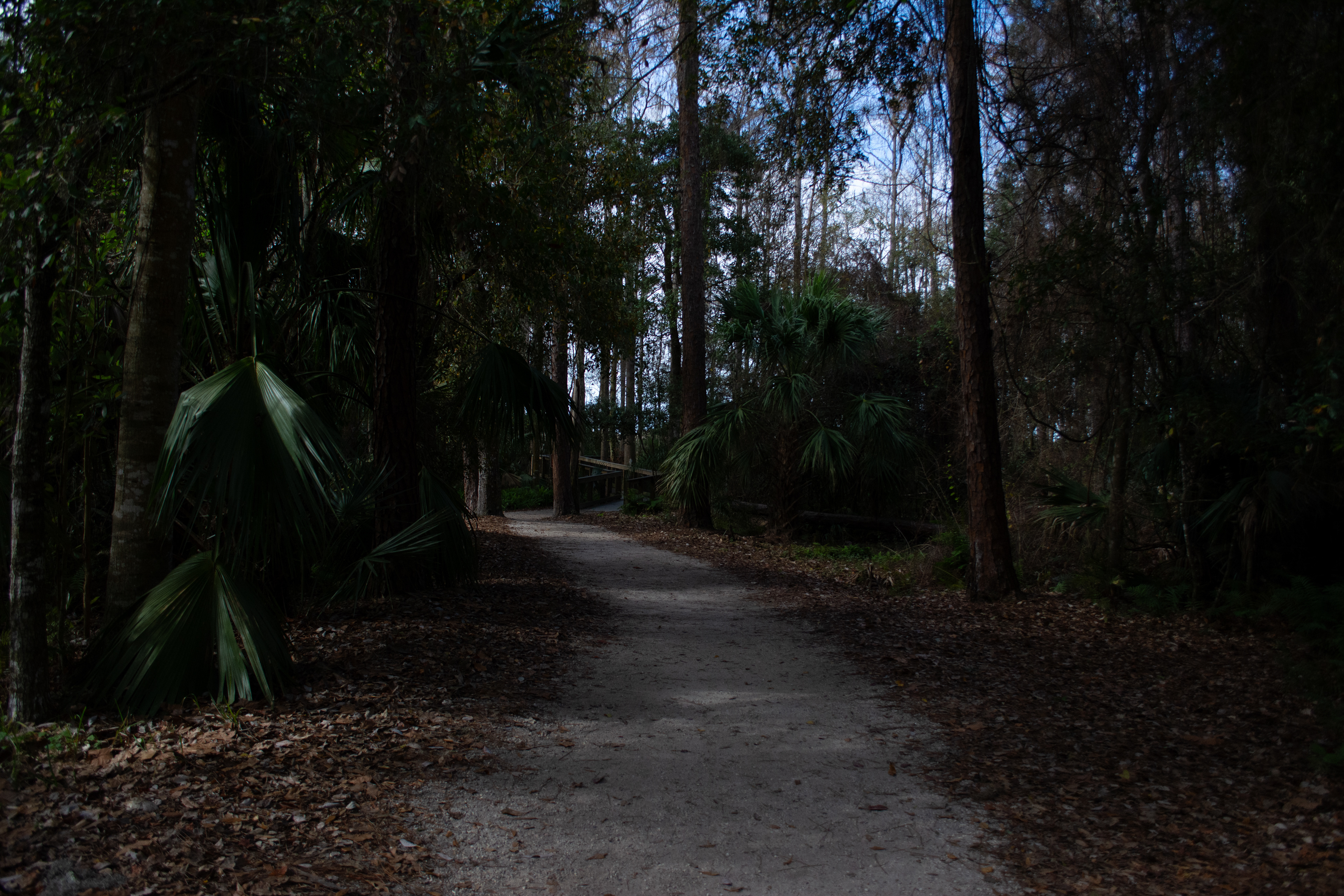 John Chesnut Sr. Park