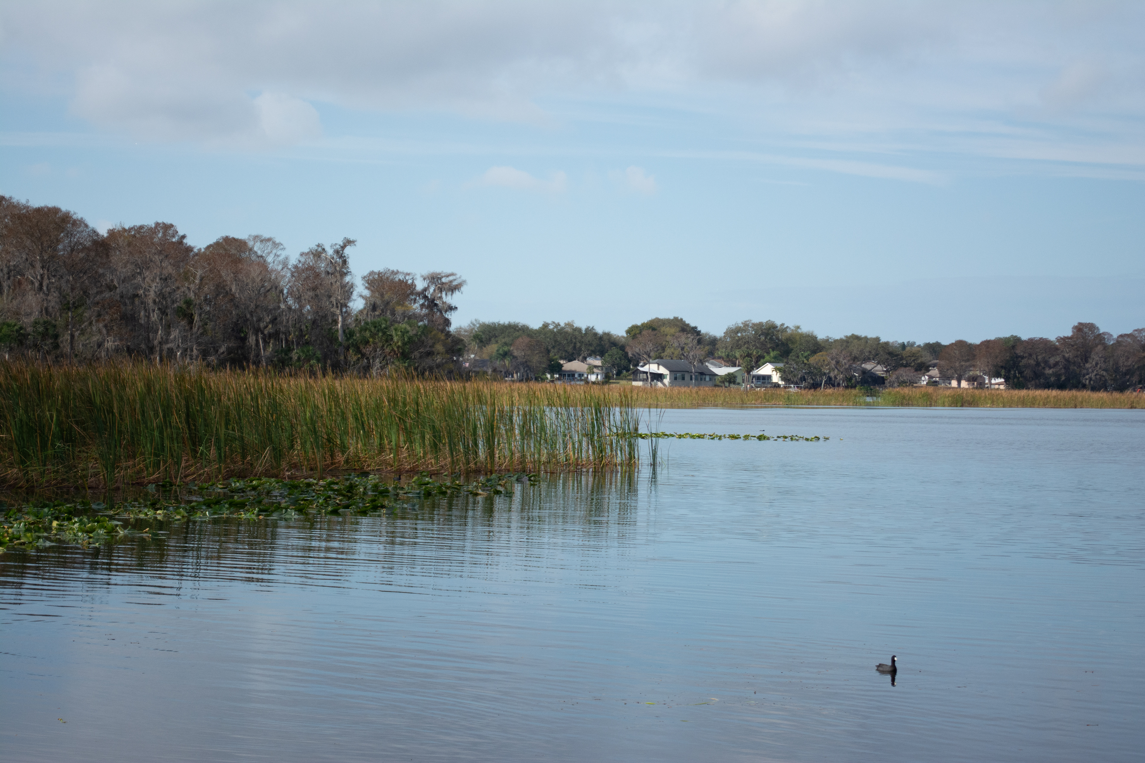 John Chesnut Sr. Park