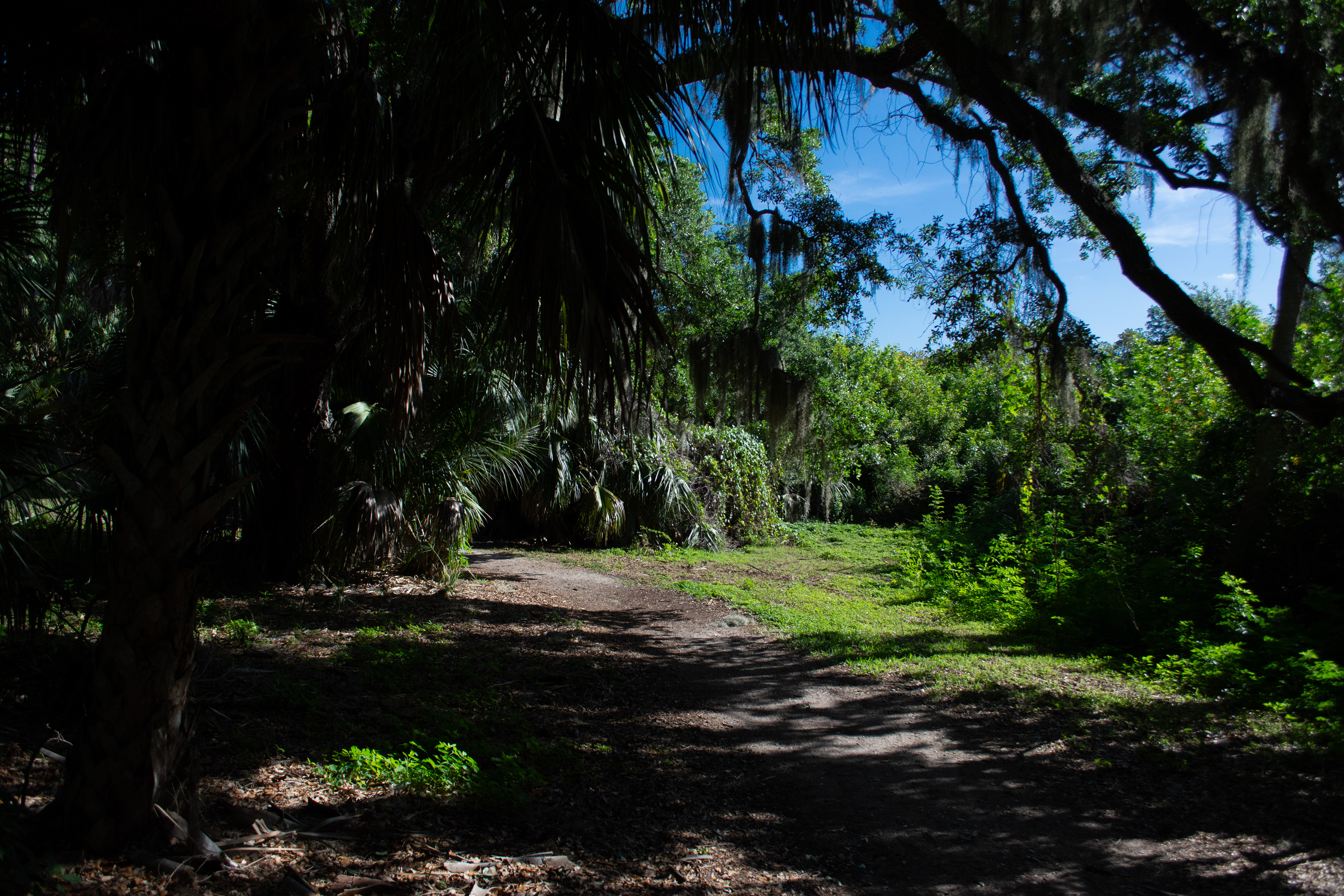 Philippe Park Safety Harbor