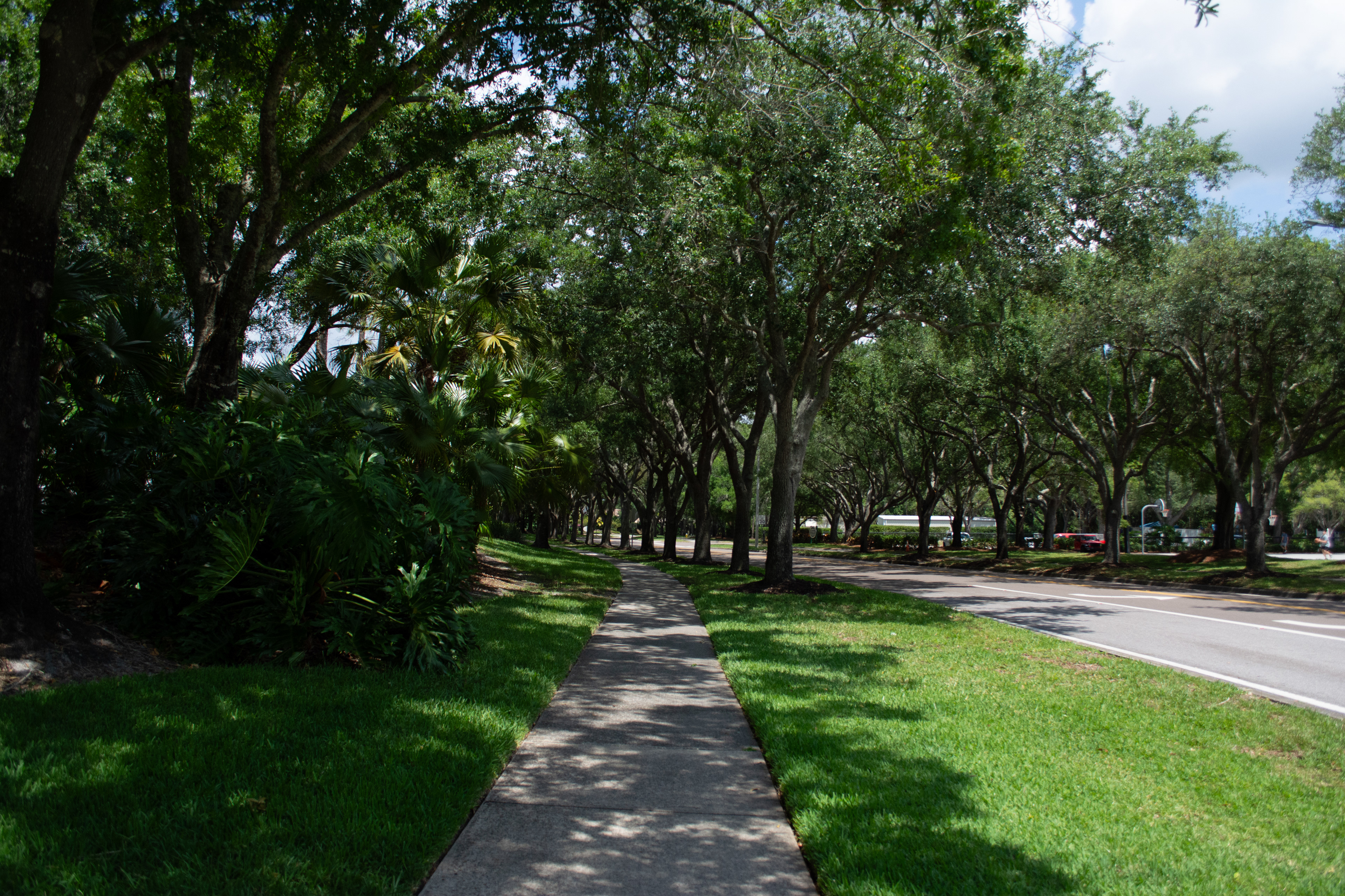 Lansbrook Commons Park Private Property