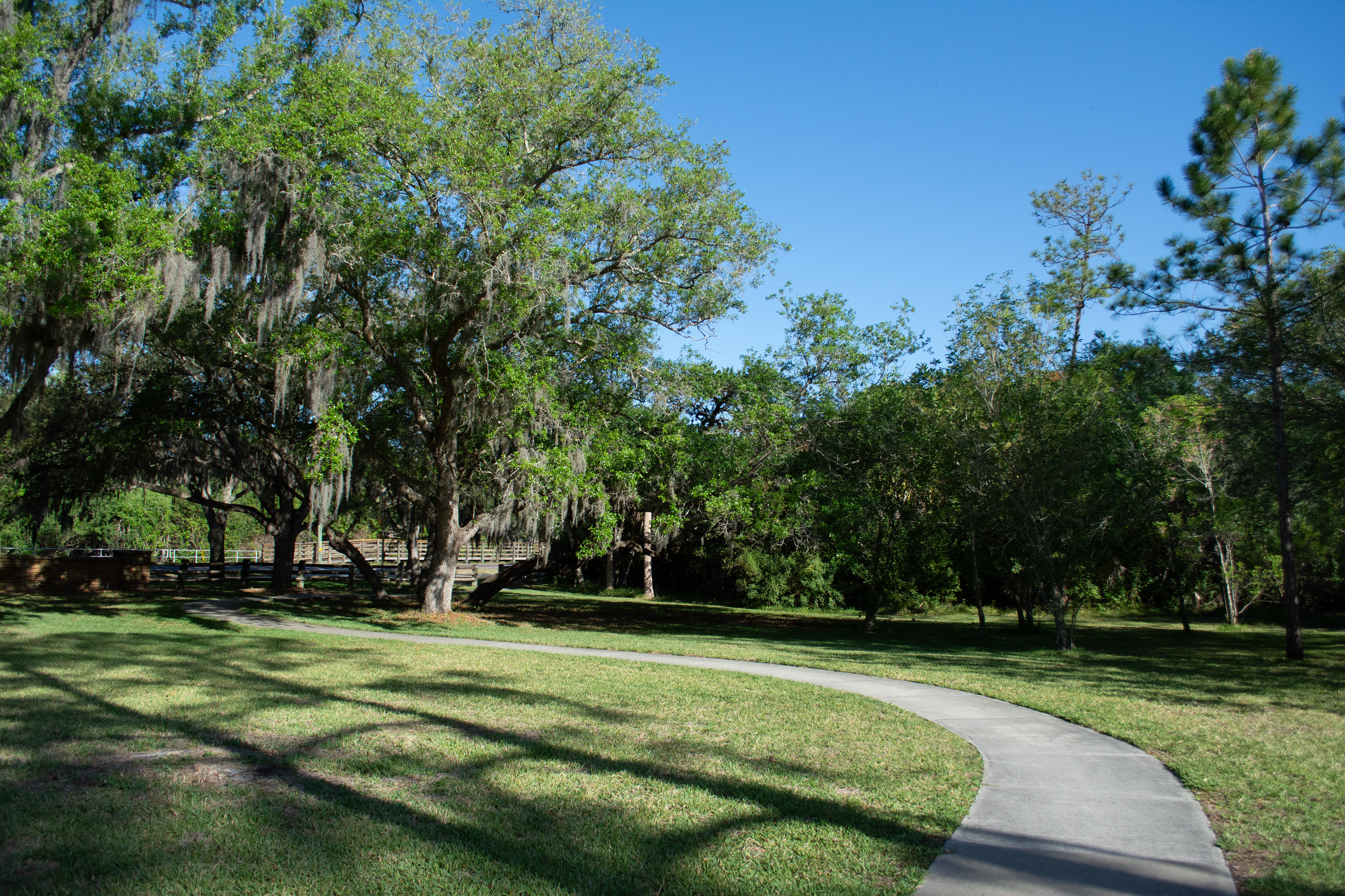 Philippe Park Safety Harbor