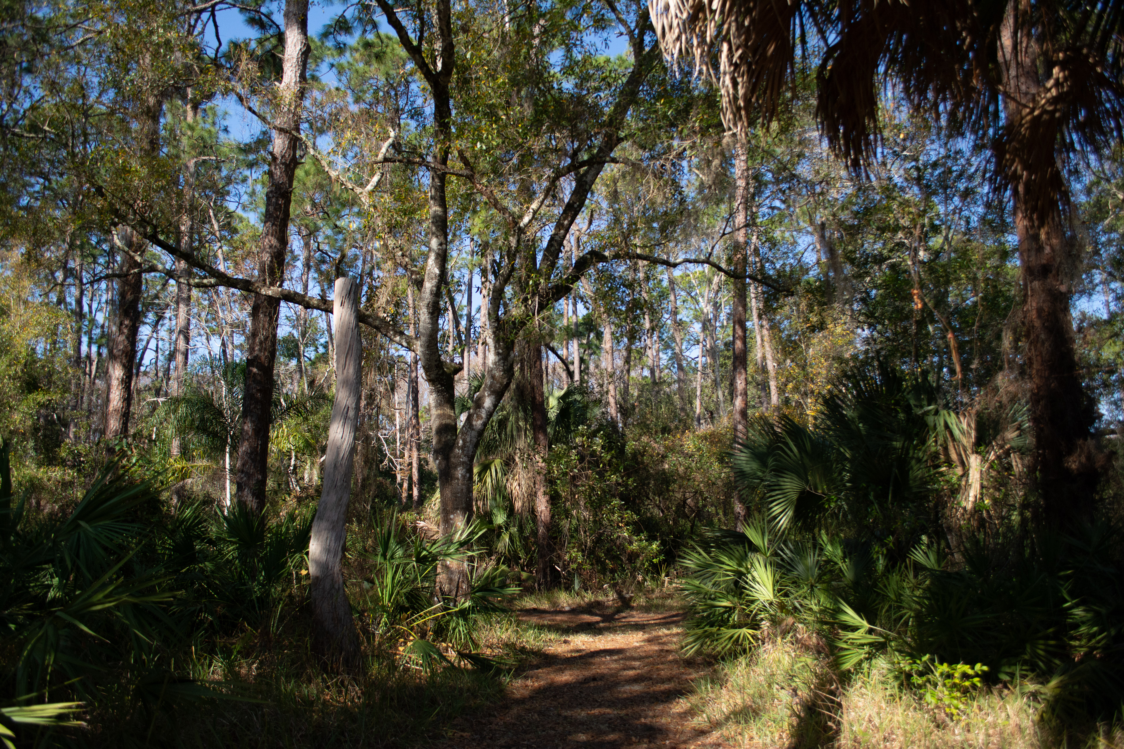 John Chesnut Sr. Park