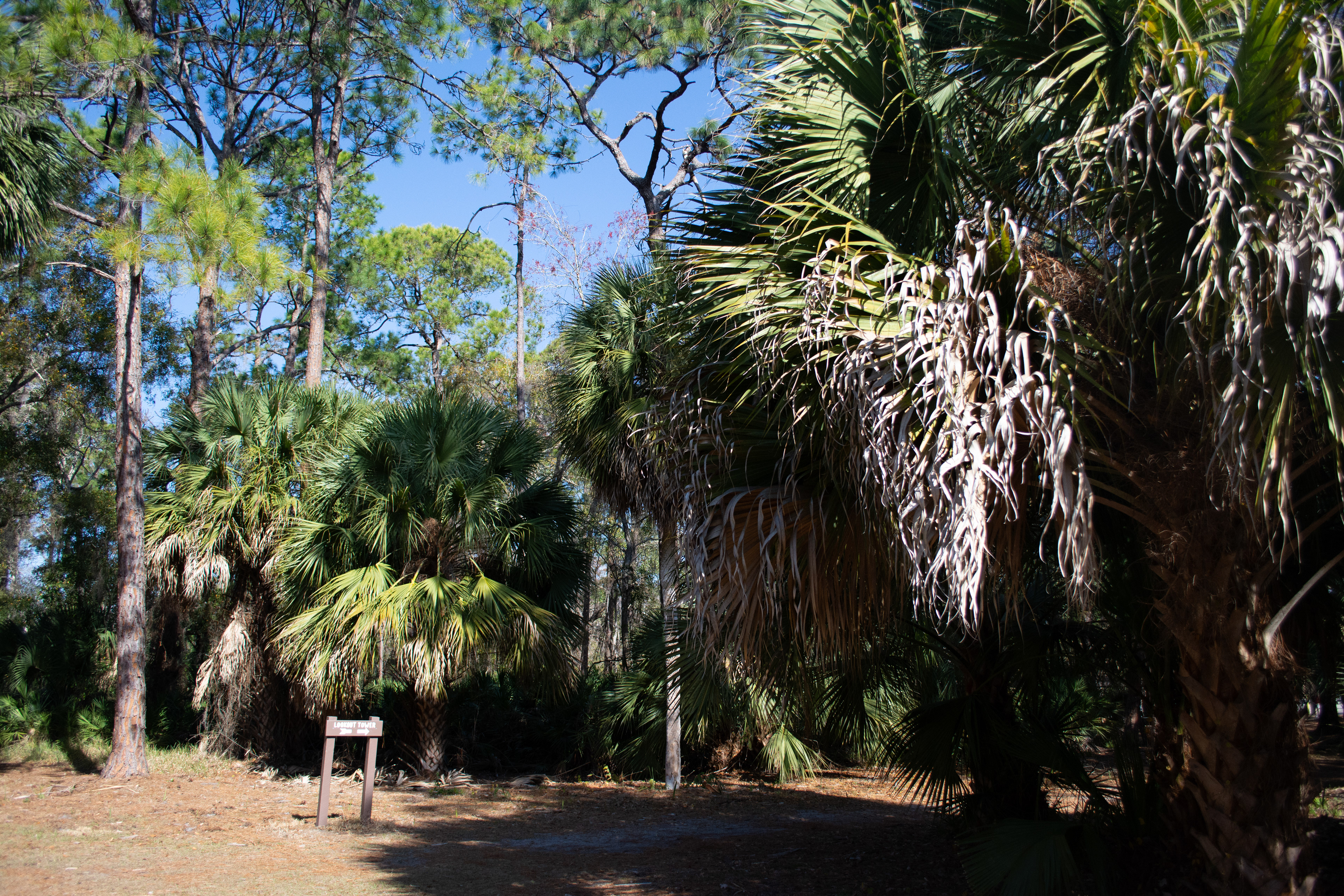 John Chesnut Sr. Park