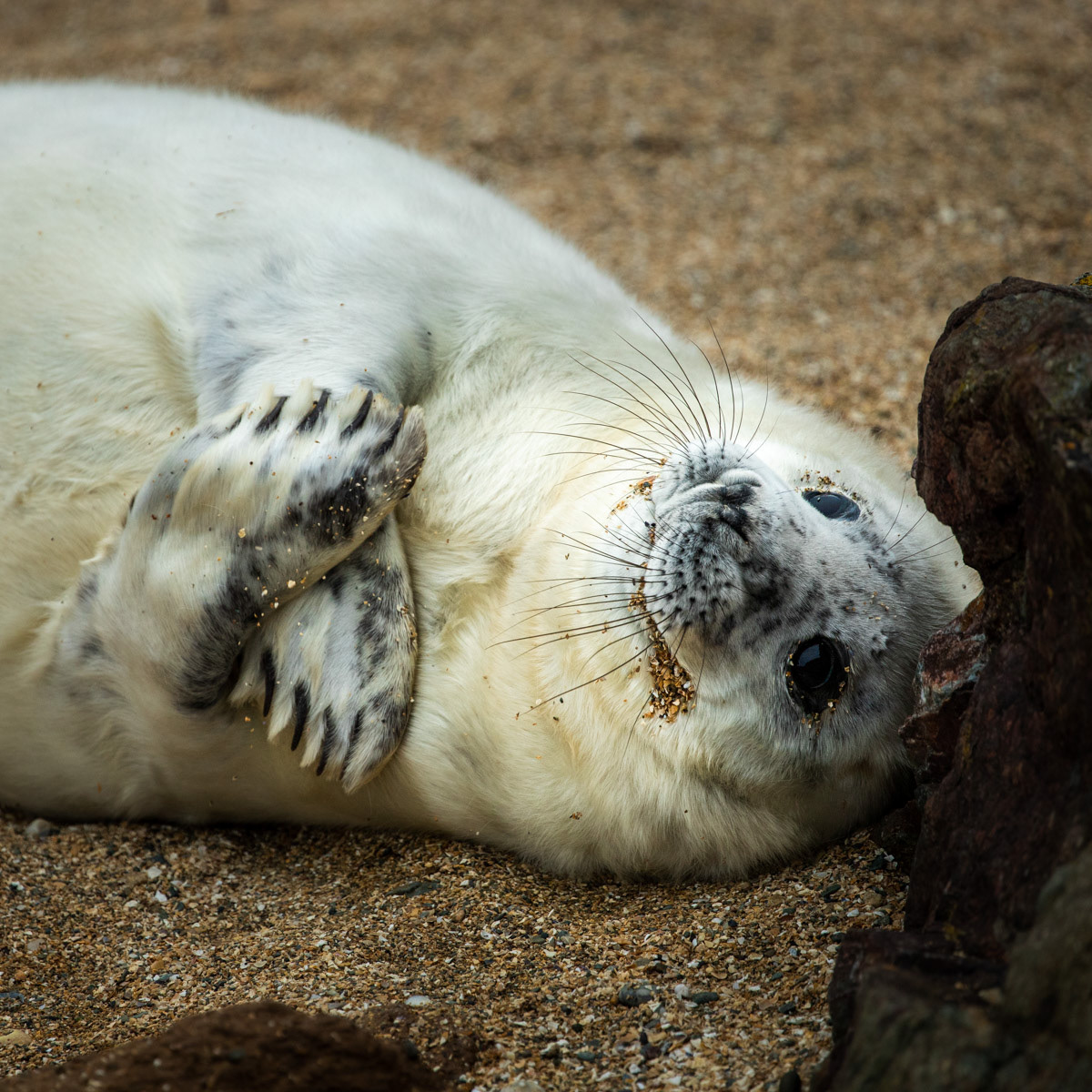 Image 4: Feeling Better