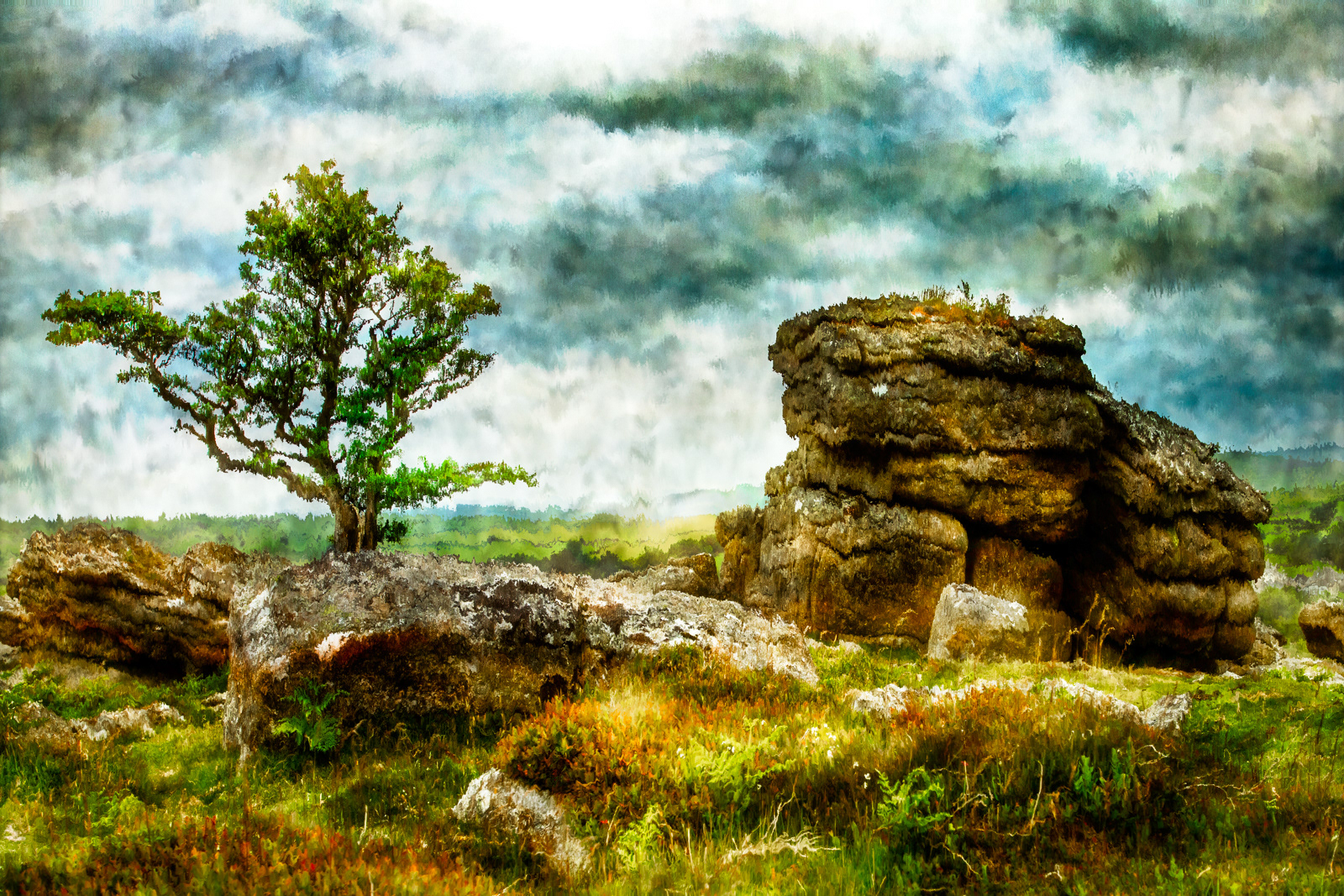 The Lone Tree, Emsworthy Rocks, Dartmoor
